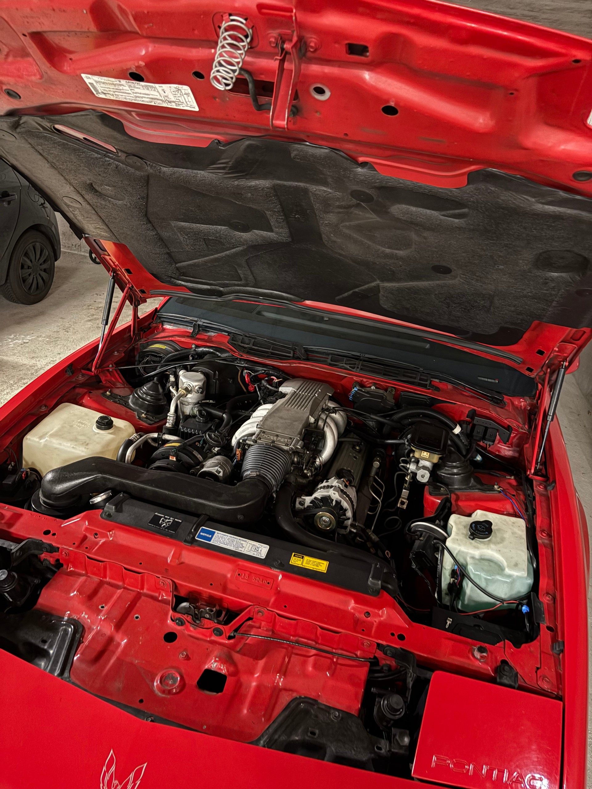 PONTIAC Firebird 5.0 V8 Trans Am