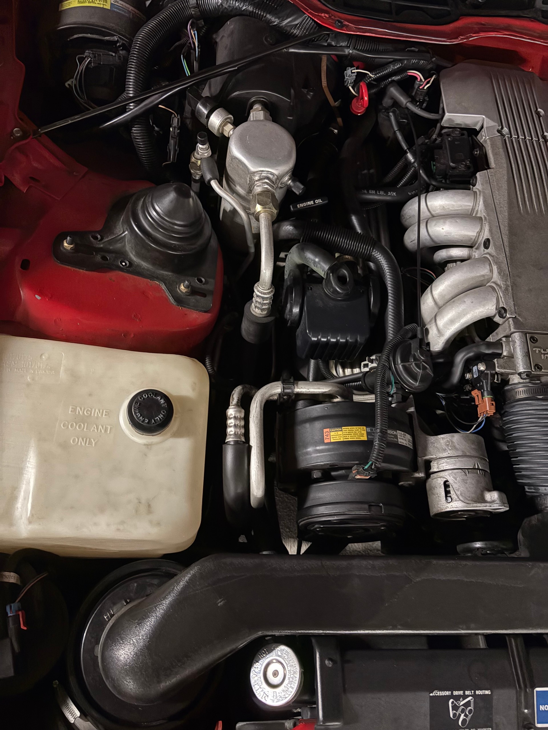 PONTIAC Firebird 5.0 V8 Trans Am-image-8