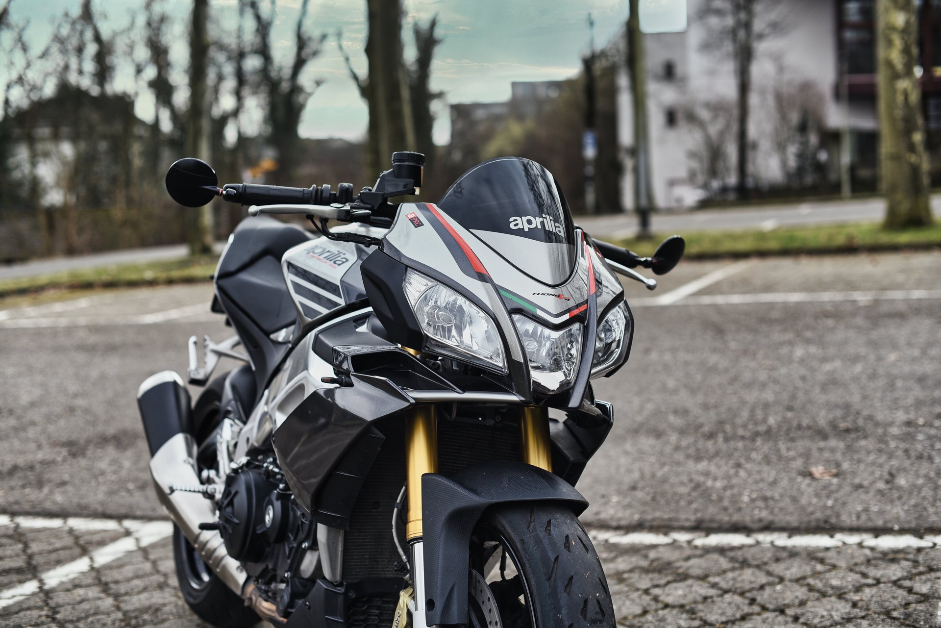 APRILIA Tuono V4 1100 R-image-3