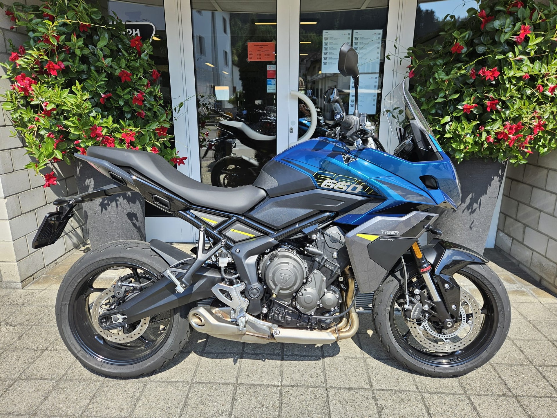 TRIUMPH Tiger Sport 660-image-1