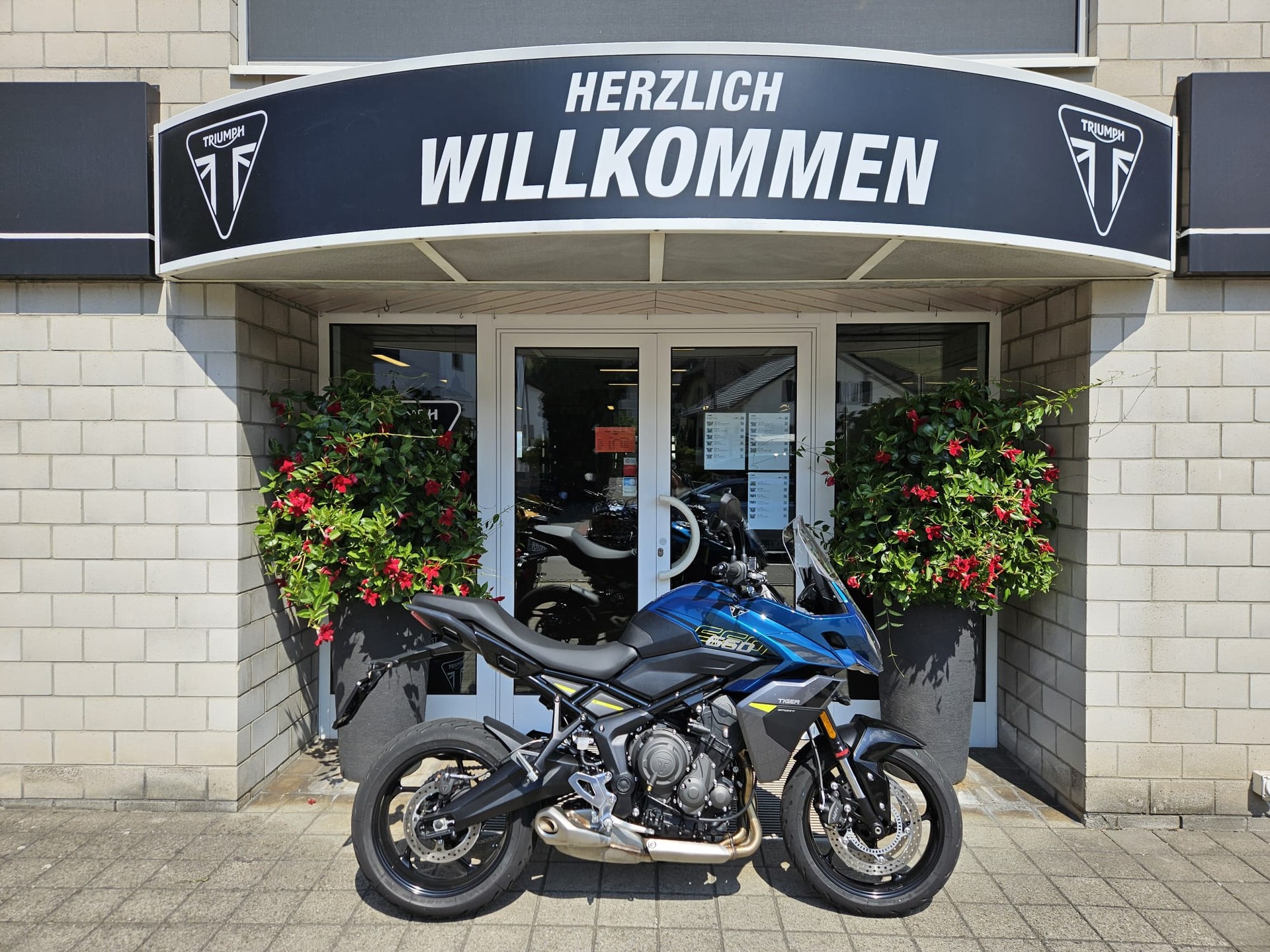 TRIUMPH Tiger Sport 660-image-0