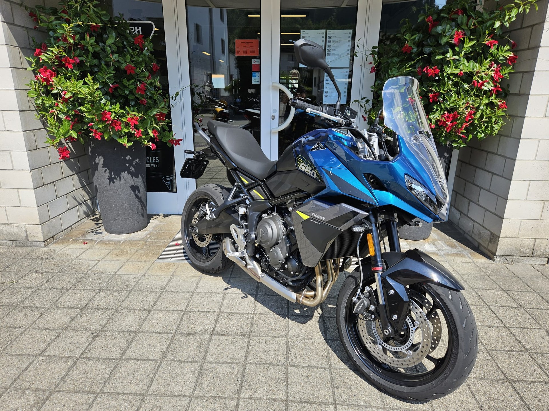 TRIUMPH Tiger Sport 660-image-2