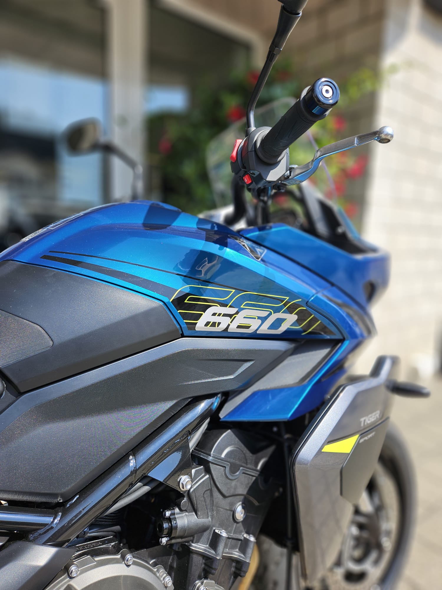 TRIUMPH Tiger Sport 660-image-6