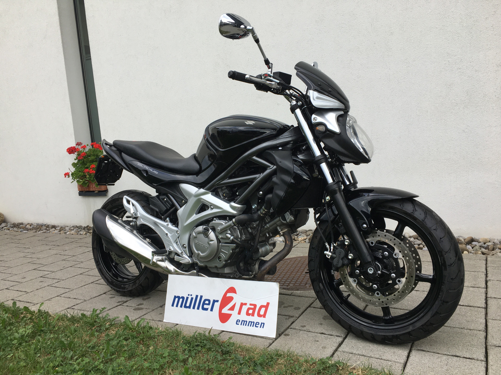 SUZUKI SFV 650 Gladius-image-0