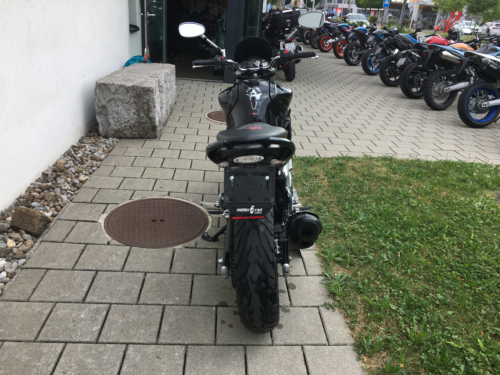 SUZUKI SFV 650 Gladius-image-3