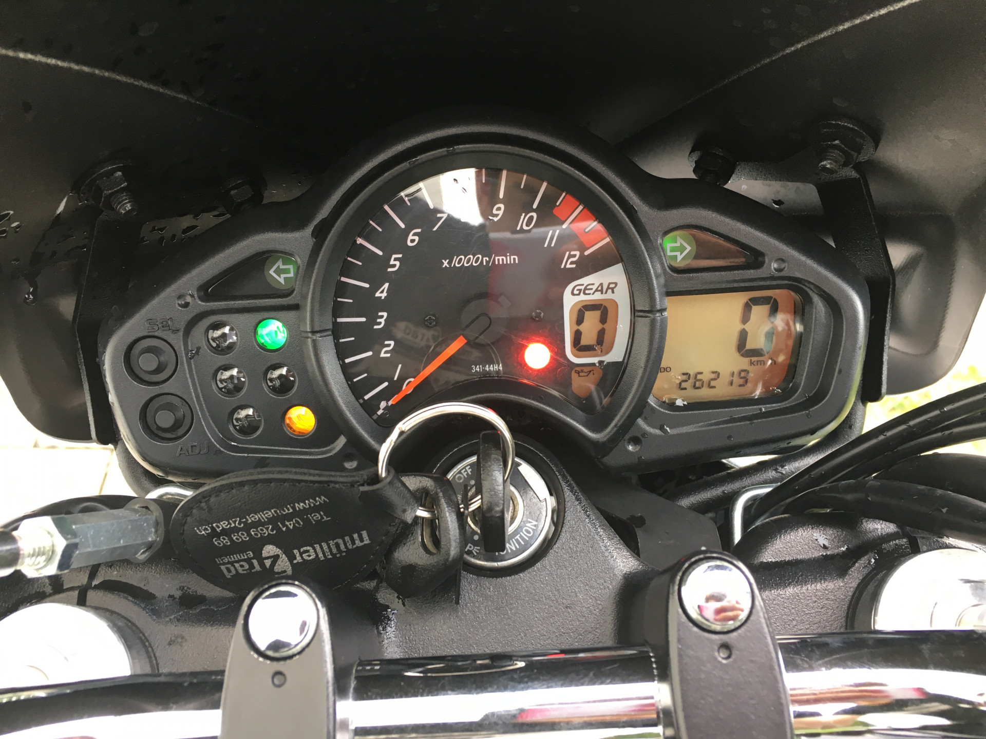 SUZUKI SFV 650 Gladius-image-2