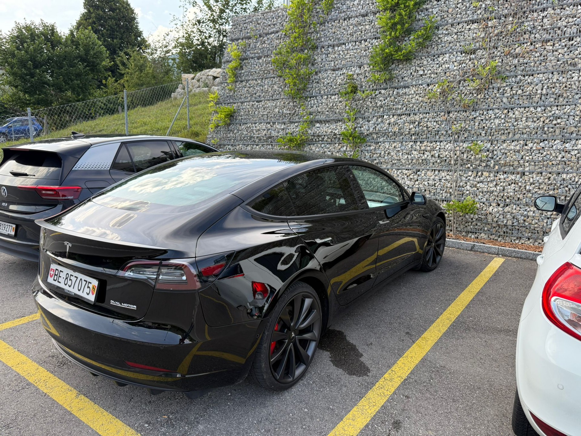 TESLA Model 3 Performance Dual Motor AWD-image-6