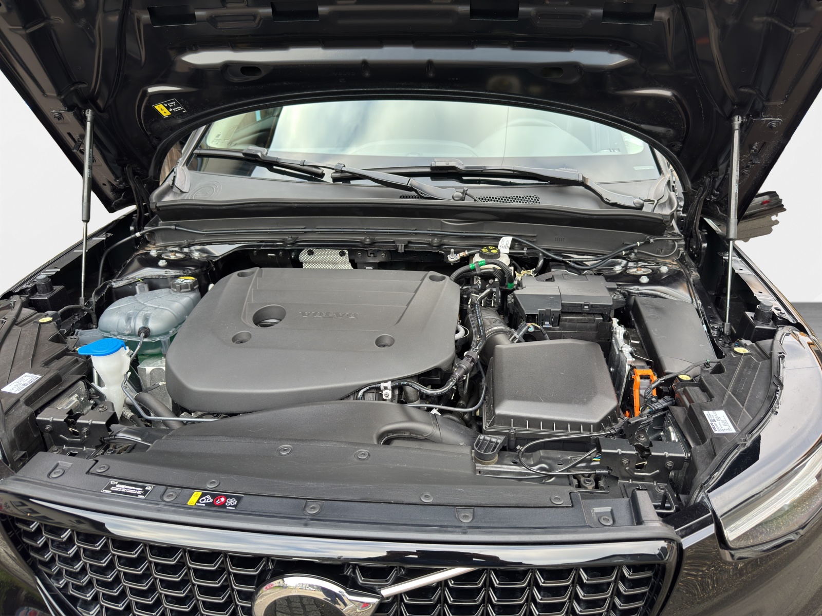 VOLVO XC40 B4 Benzin Mild Hybrid Plus Dark DCT-image-15