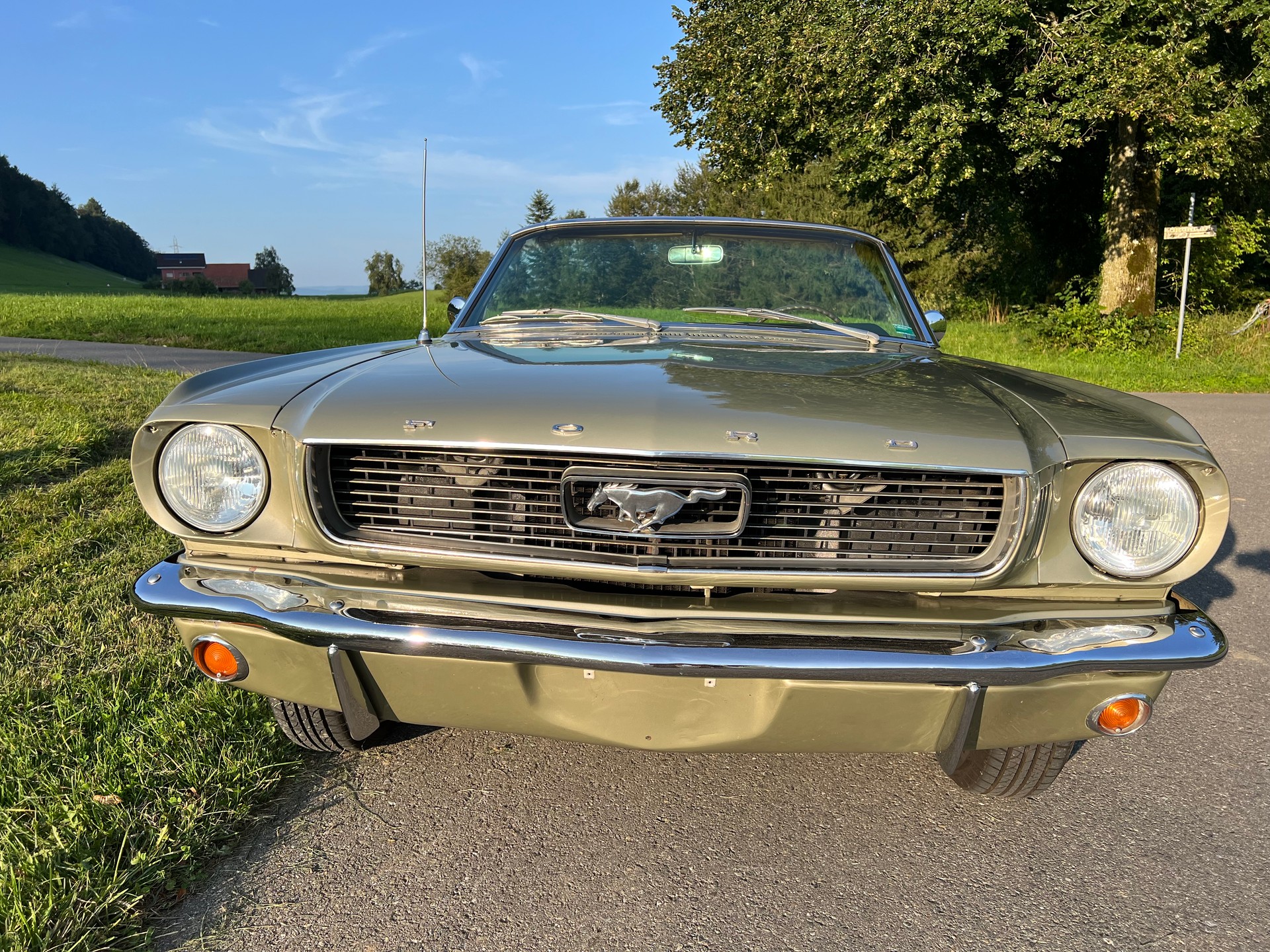 FORD MUSTANG Cabriolet 289-image-3