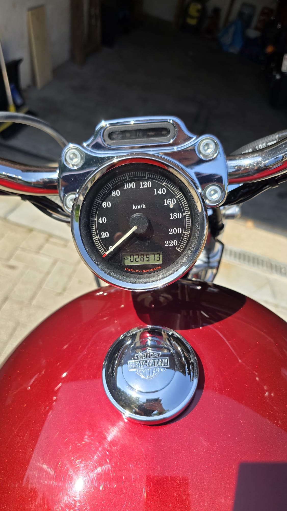 HARLEY-DAVIDSON XL 883 C Sportster Custom Injection (25kW)-image-6