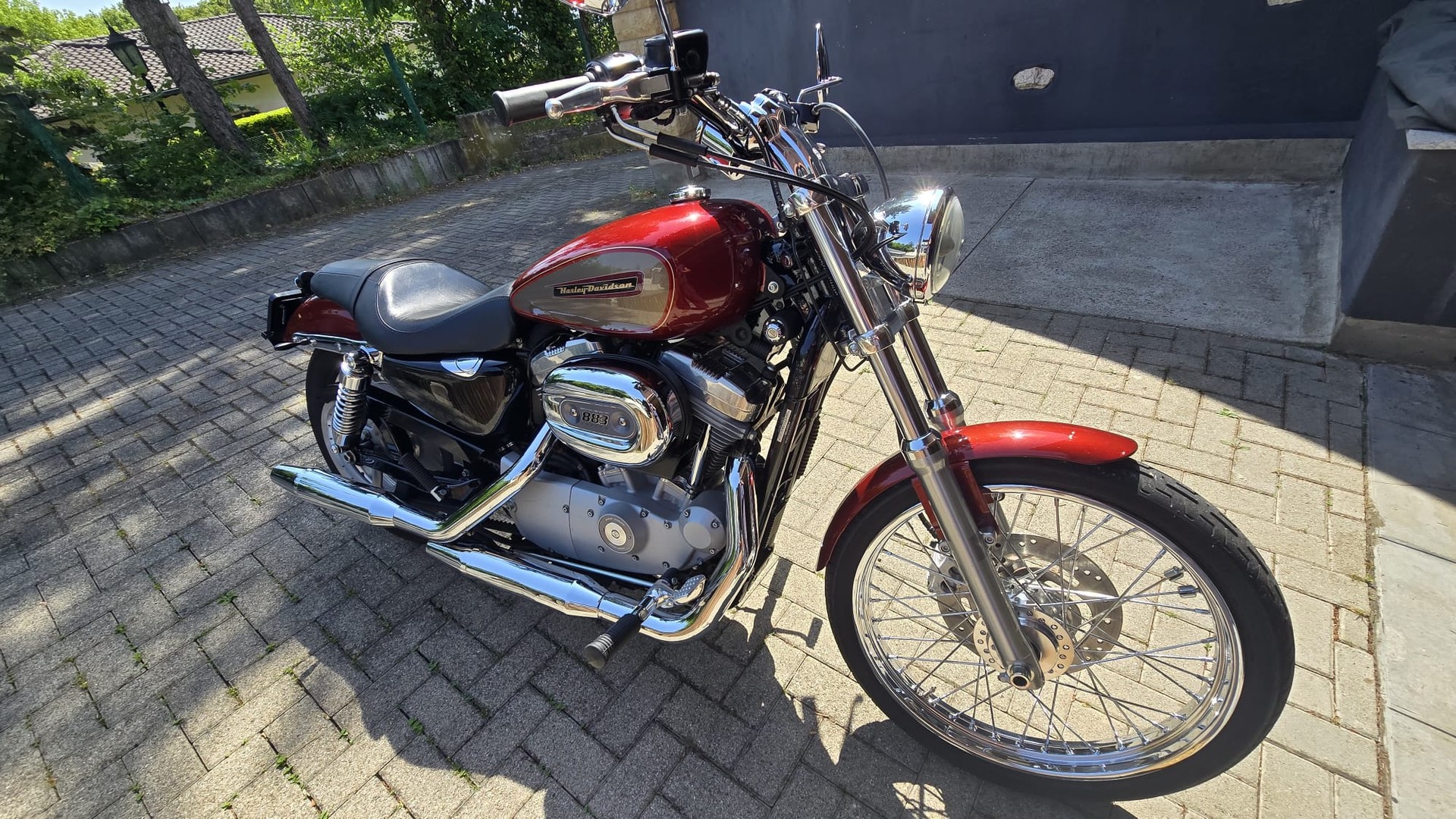 HARLEY-DAVIDSON XL 883 C Sportster Custom Injection (25kW)-image-7