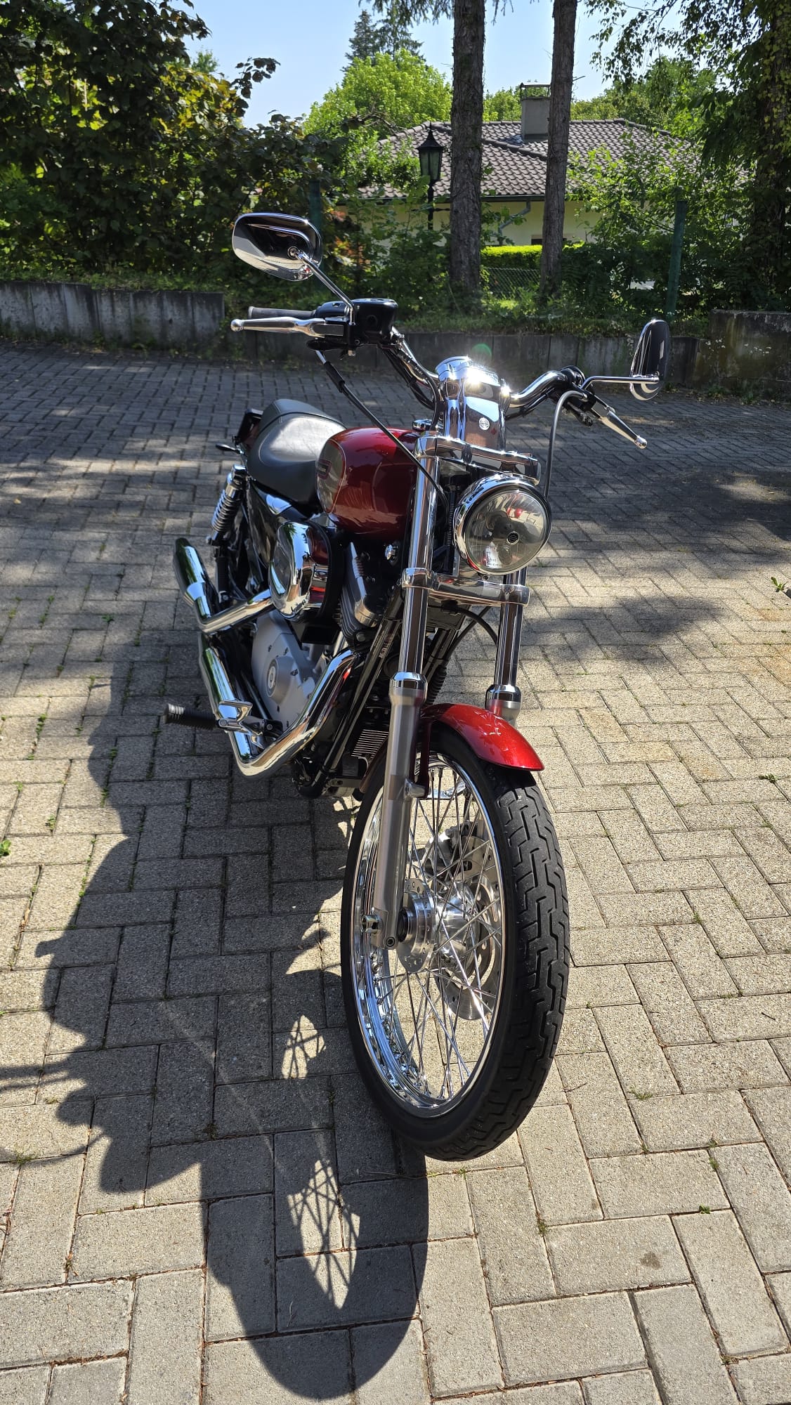 HARLEY-DAVIDSON XL 883 C Sportster Custom Injection (25kW)-image-3
