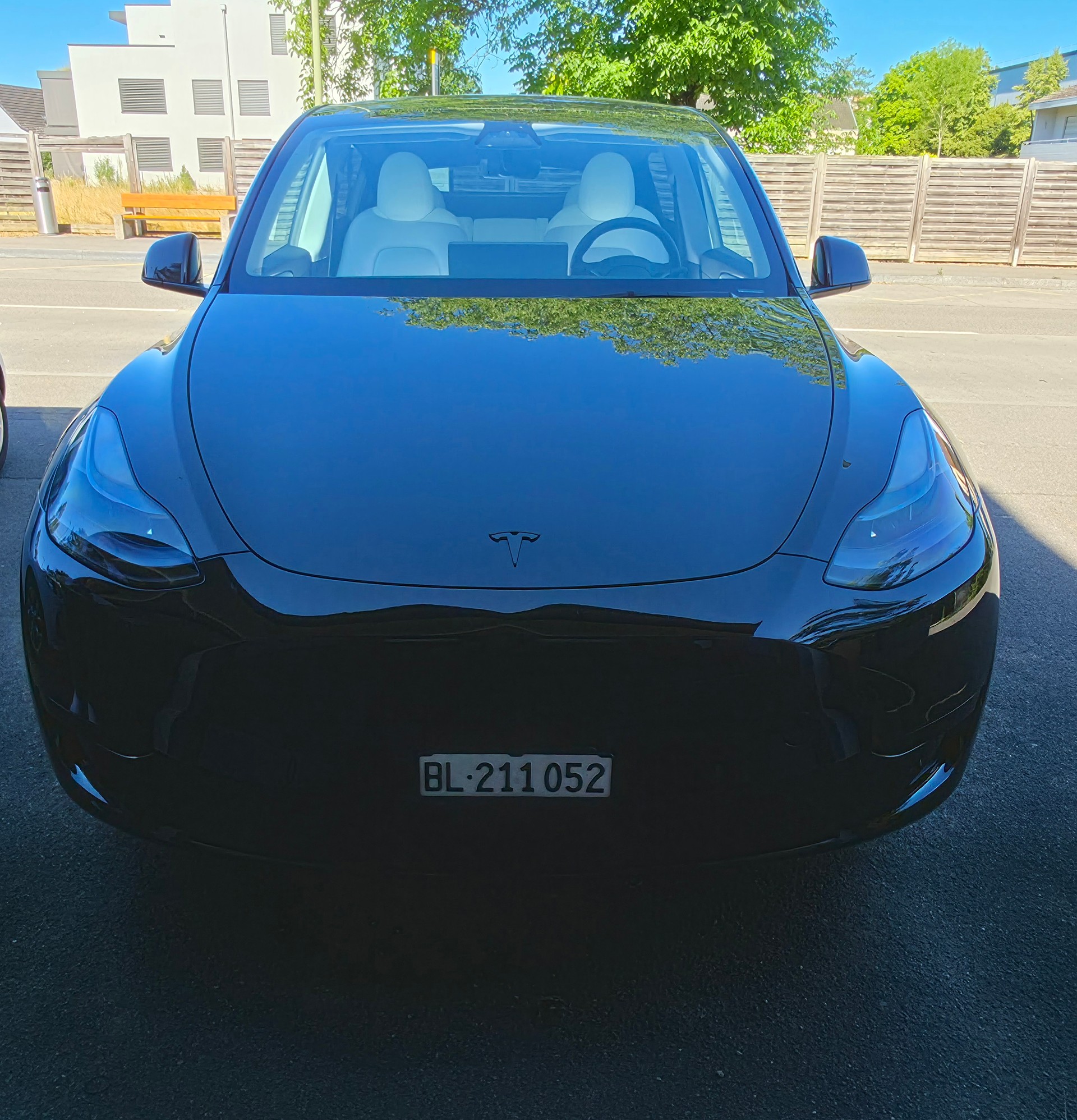TESLA RWD