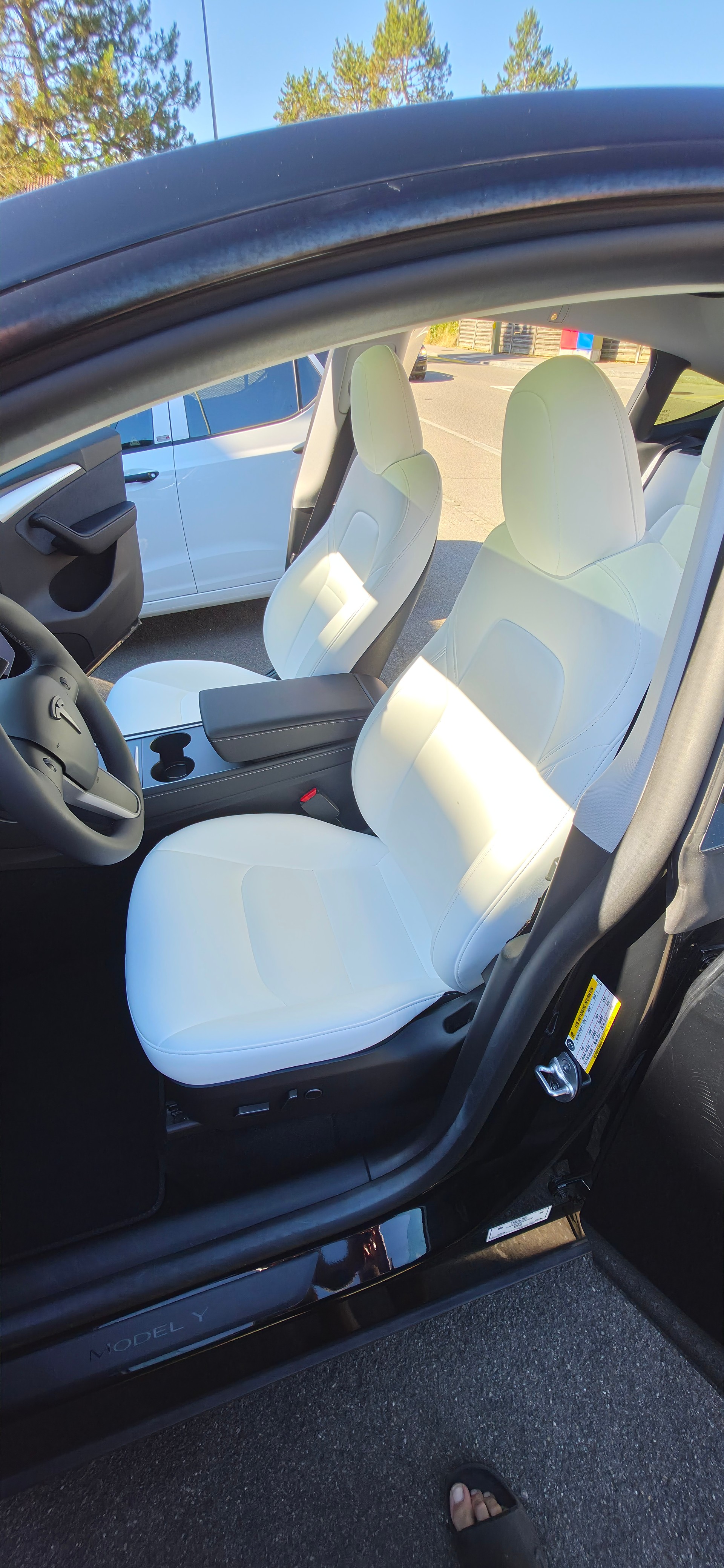 TESLA RWD-image-10