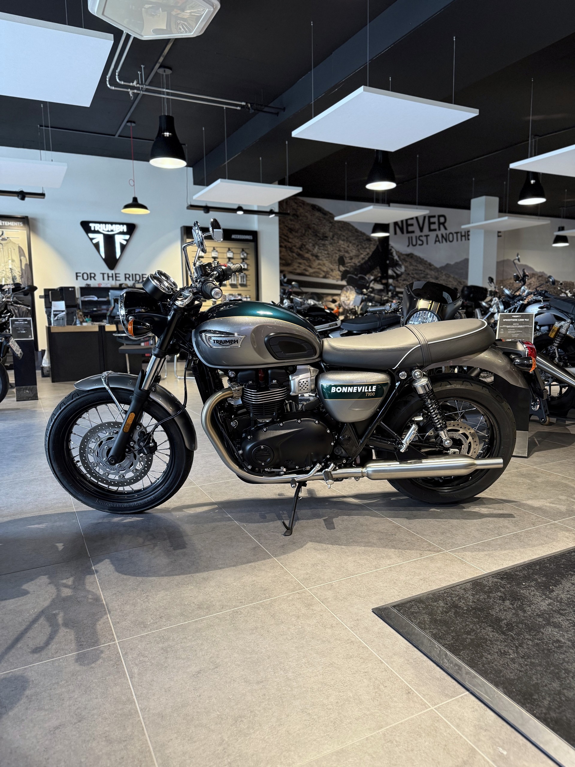 TRIUMPH Bonneville 900 T 100 Special Edition-image-0