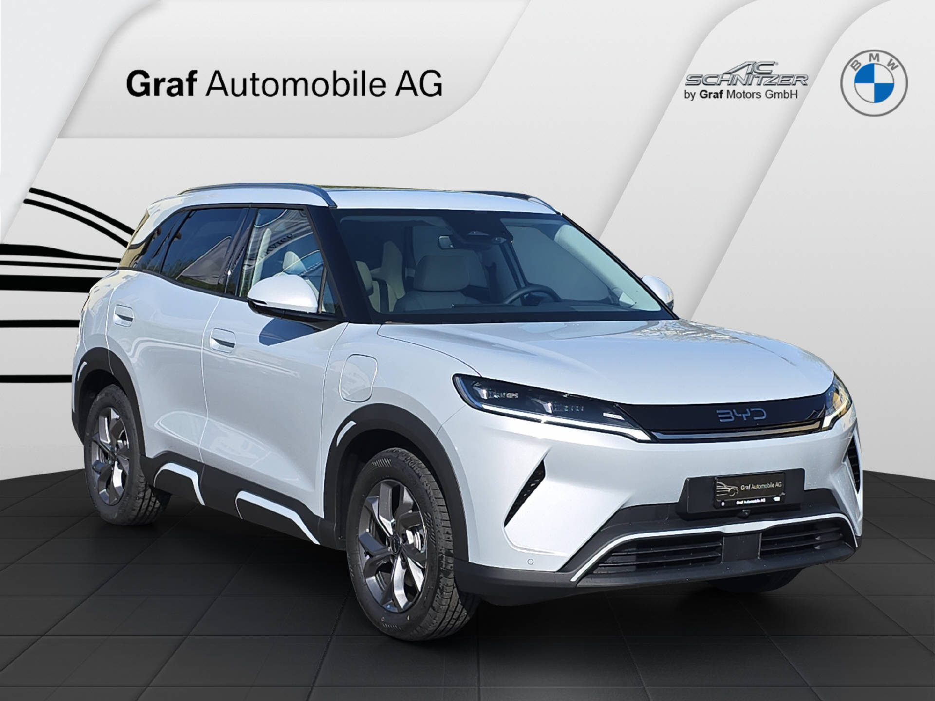 BYD Atto 2 Comfort-showroom-element-2
