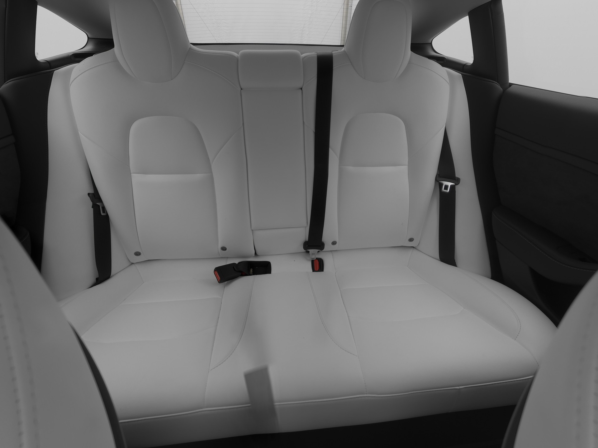 TESLA Model 3-image-10