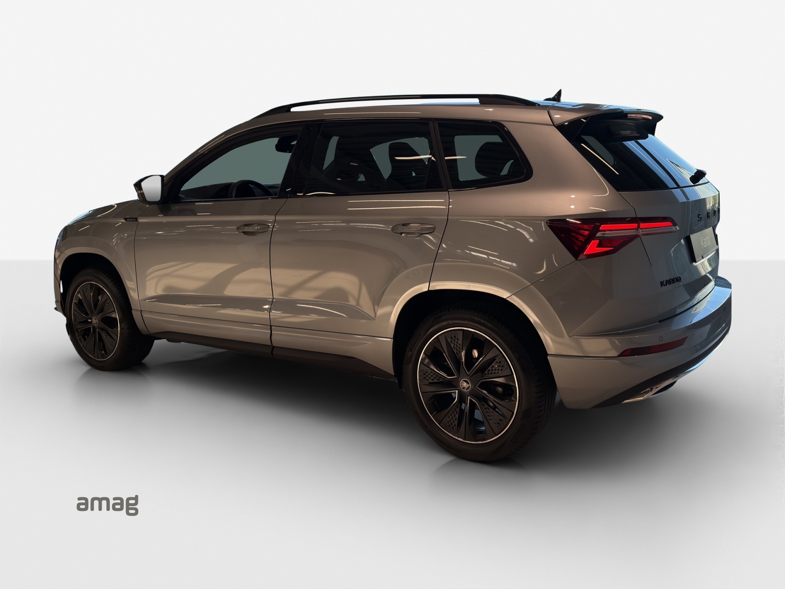 SKODA Karoq 2.0 TSI Dynamic Limited Edition 4x4 DSG-showroom-element-2