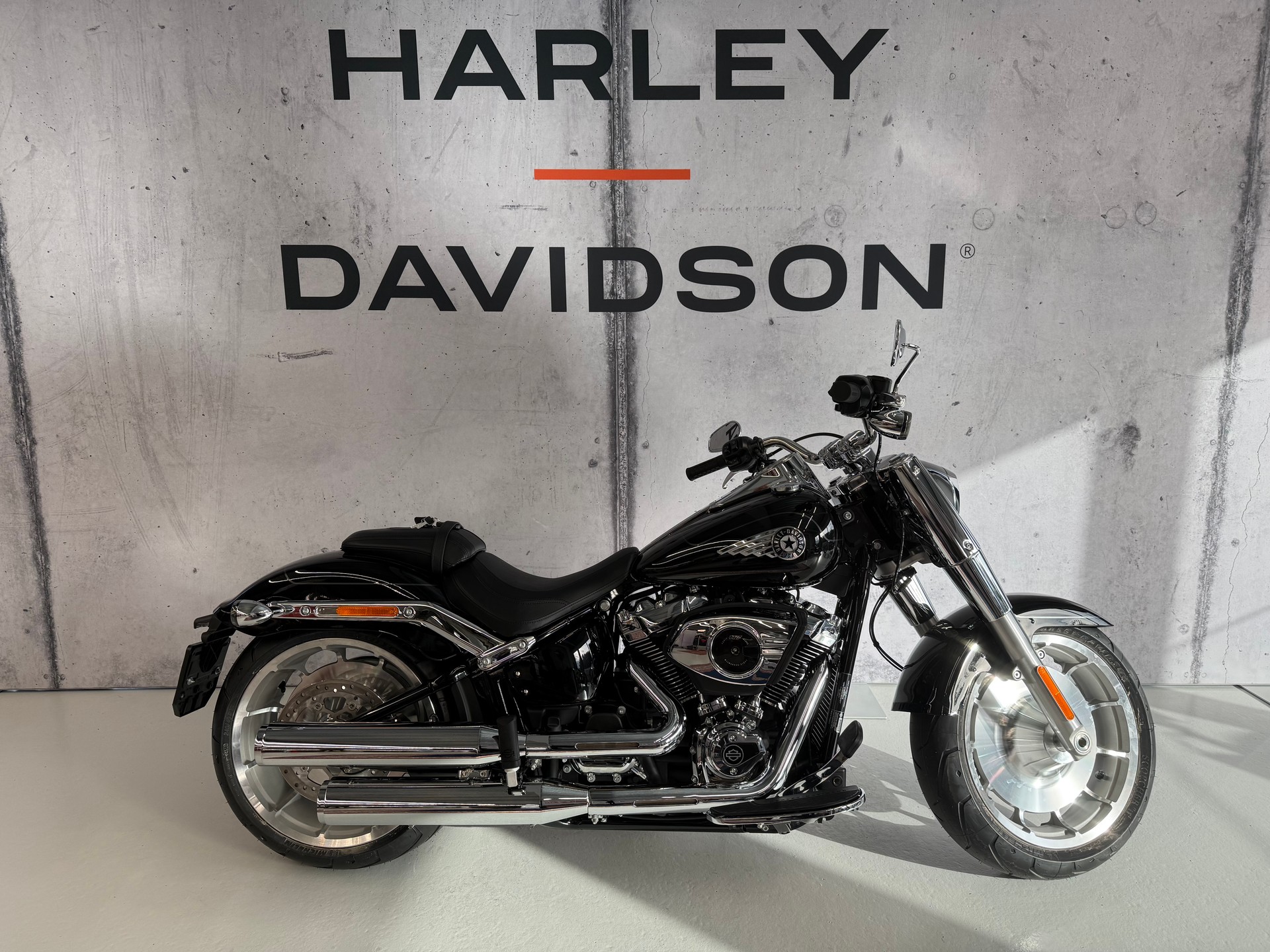 HARLEY-DAVIDSON FLFB Fat Boy 117ci-image-0