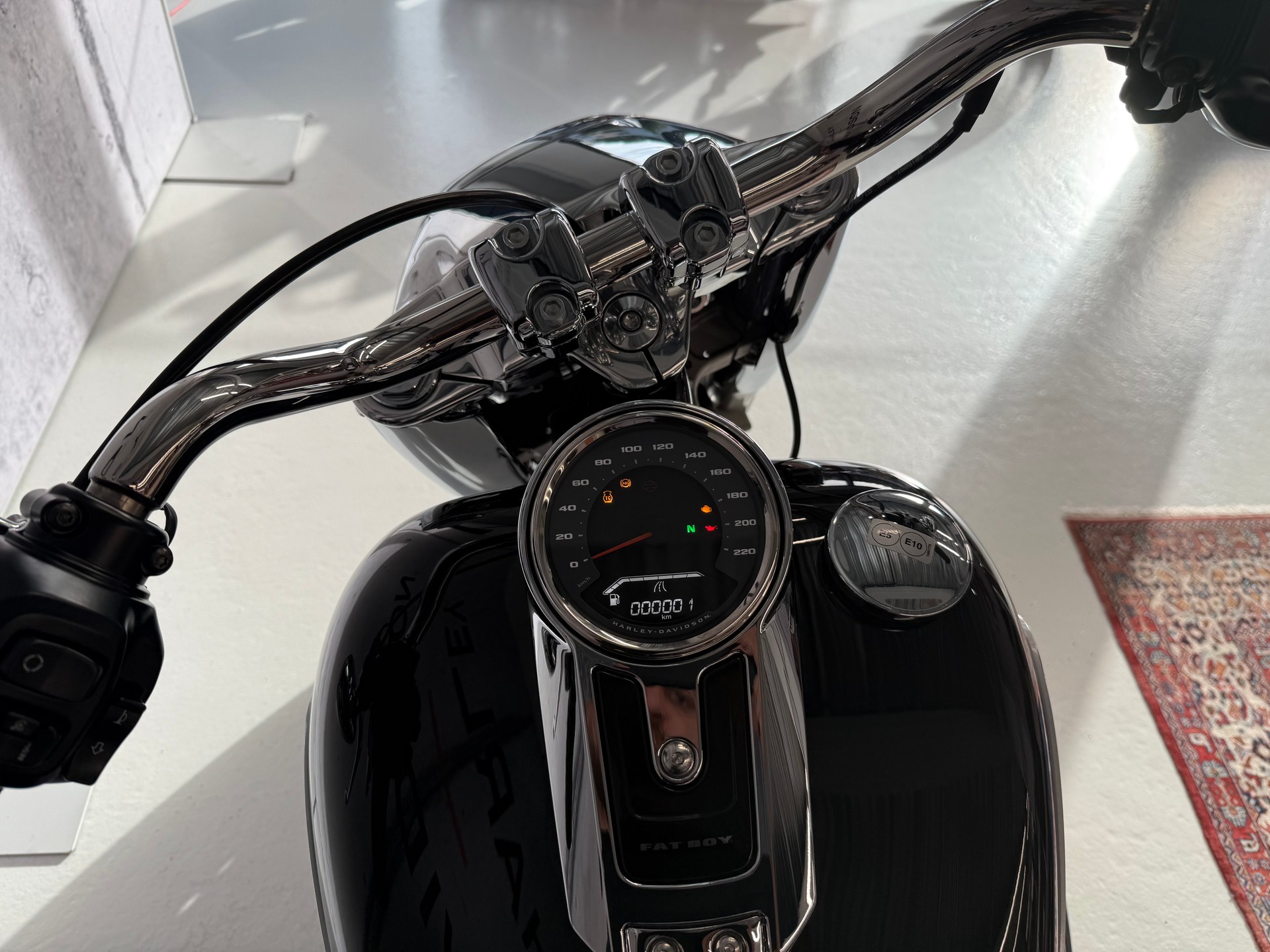 HARLEY-DAVIDSON FLFB Fat Boy 117ci-image-3