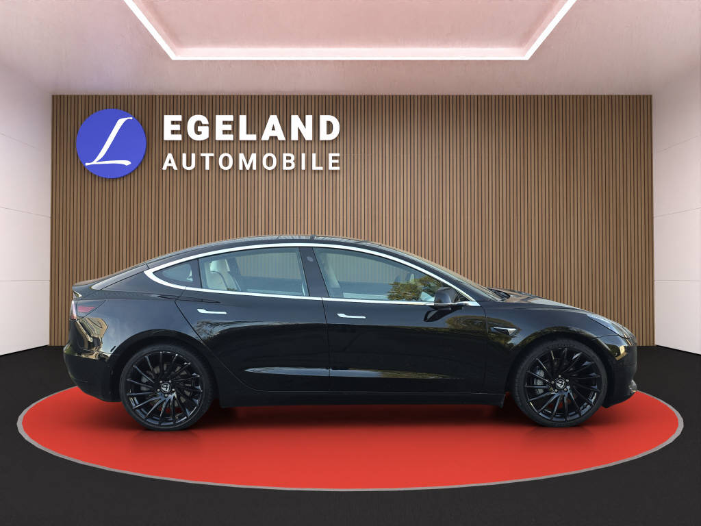 TESLA Model 3 Standart Range Plus-image-7