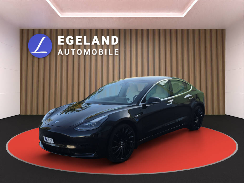 TESLA Model 3 Standart Range Plus