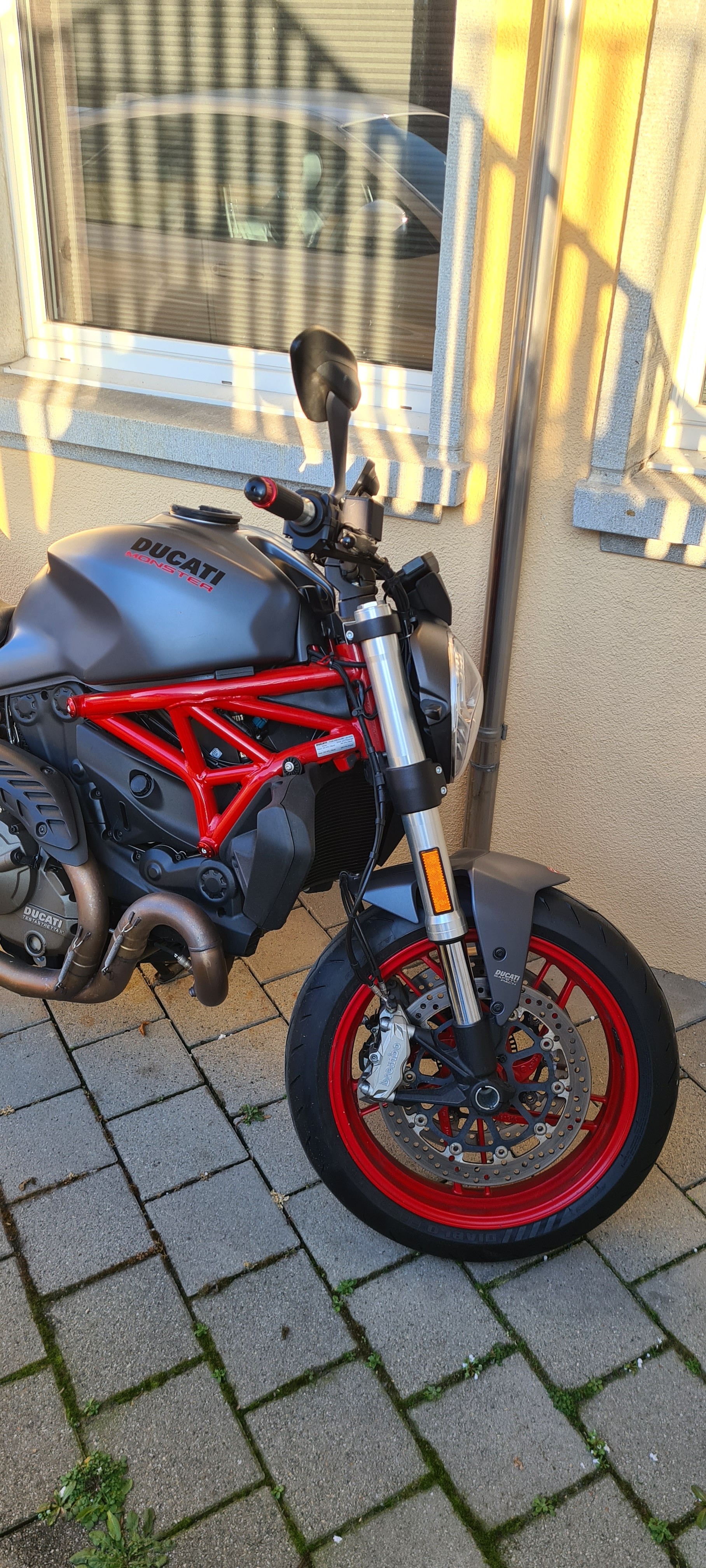 DUCATI Monster 821-image-5