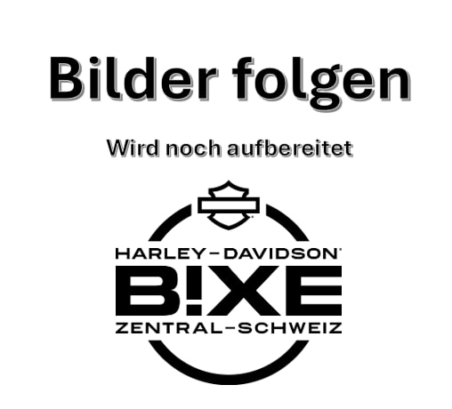 HARLEY-DAVIDSON FLFB Fat Boy 117ci-image-0