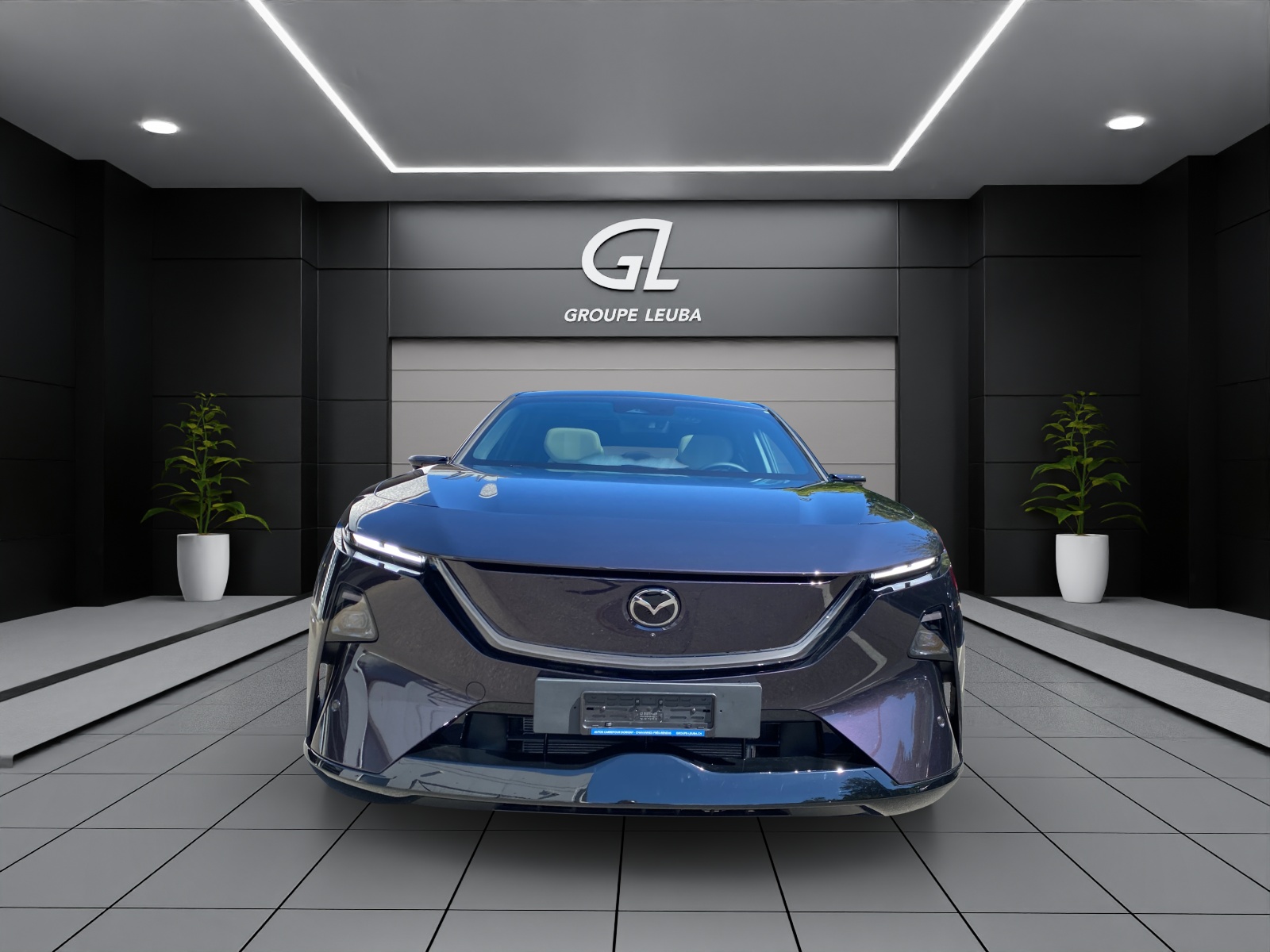MAZDA CX-6e TAKUMI PLUS 21'' 258ps-showroom-element-1