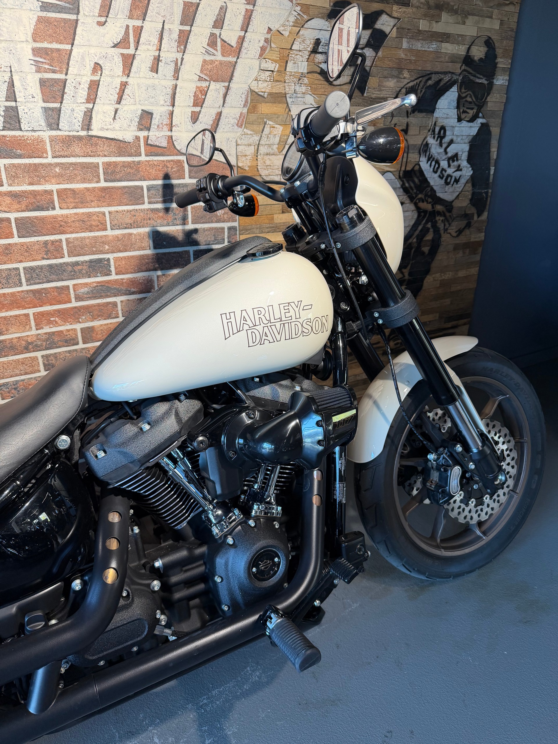 HARLEY-DAVIDSON FXLRS Low Rider S 117-image-7