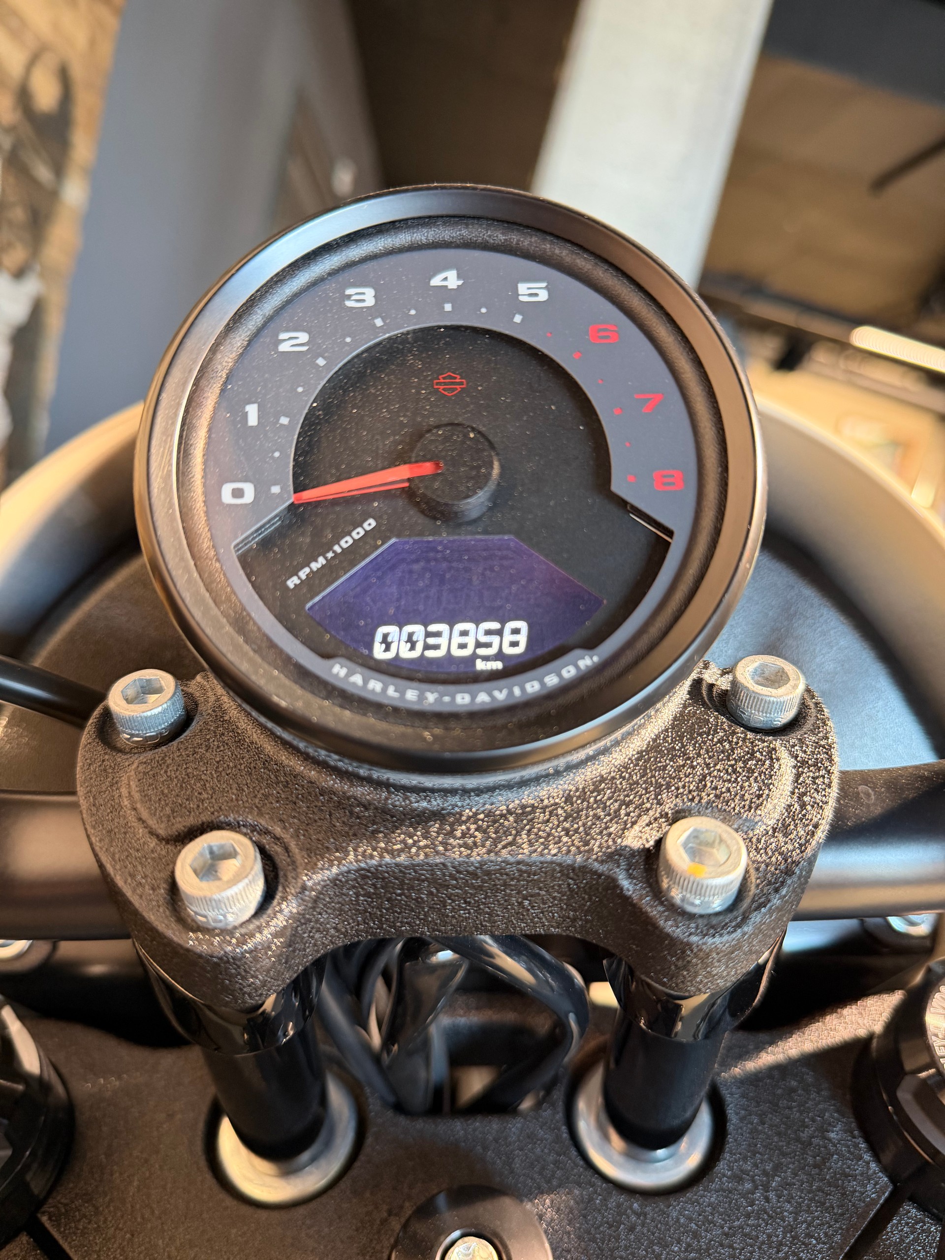 HARLEY-DAVIDSON FXLRS Low Rider S 117-image-12