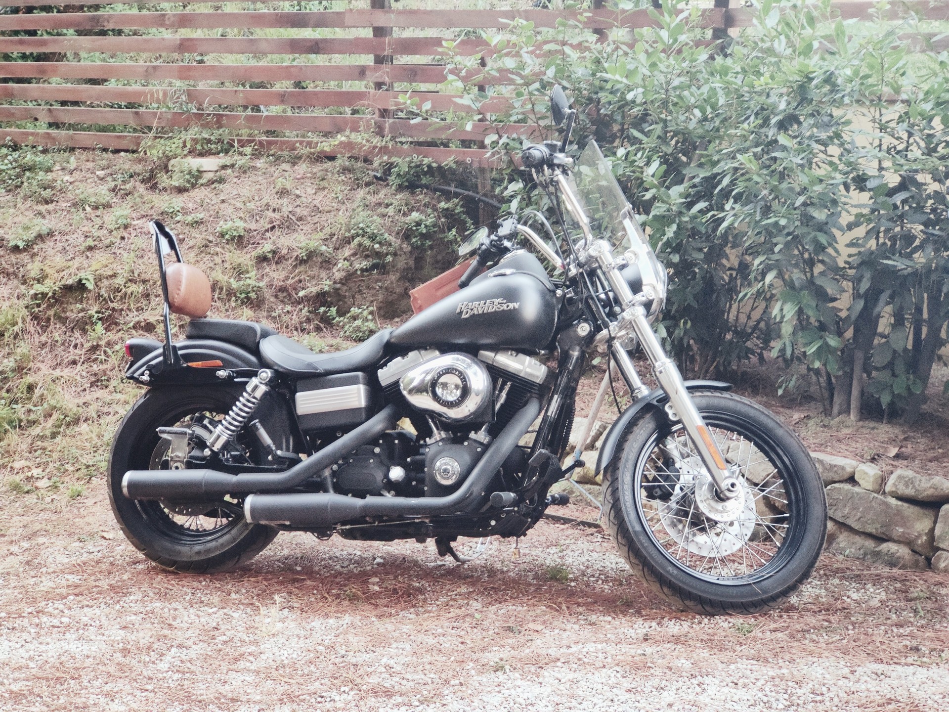 HARLEY-DAVIDSON FXDBI Dyna Street Bob-image-2