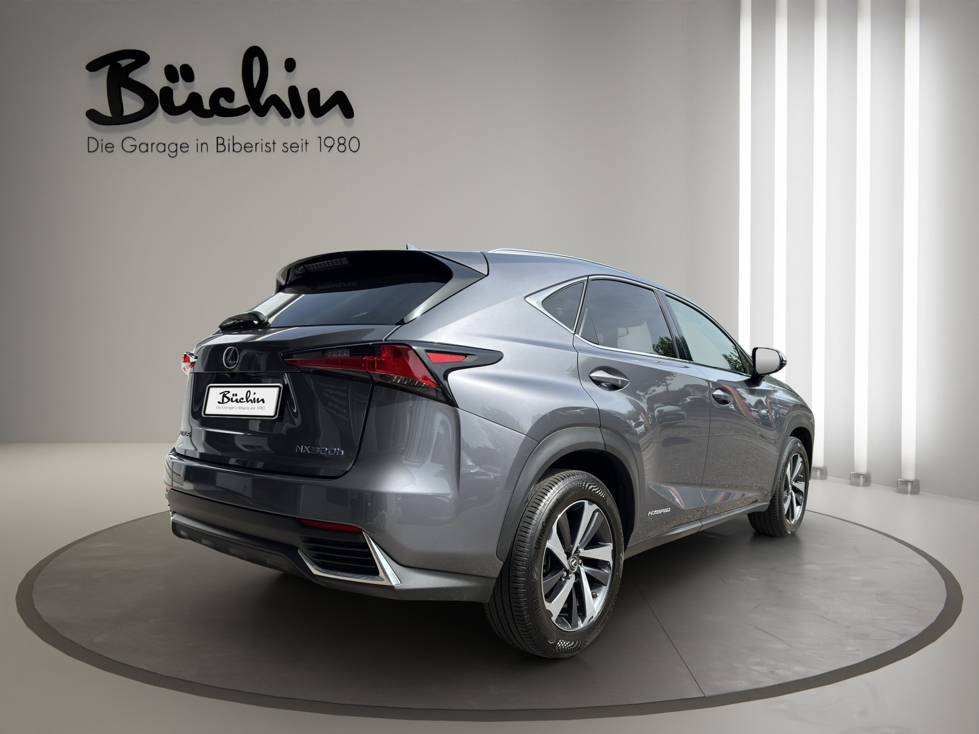 LEXUS NX 300h Excellence E-Four Automatic-image-6