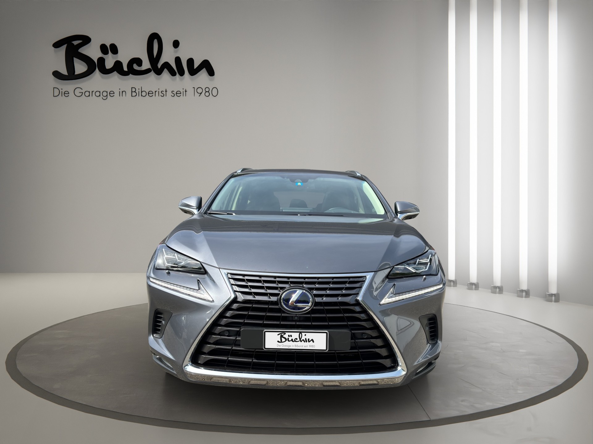 LEXUS NX 300h Excellence E-Four Automatic-showroom-element-1