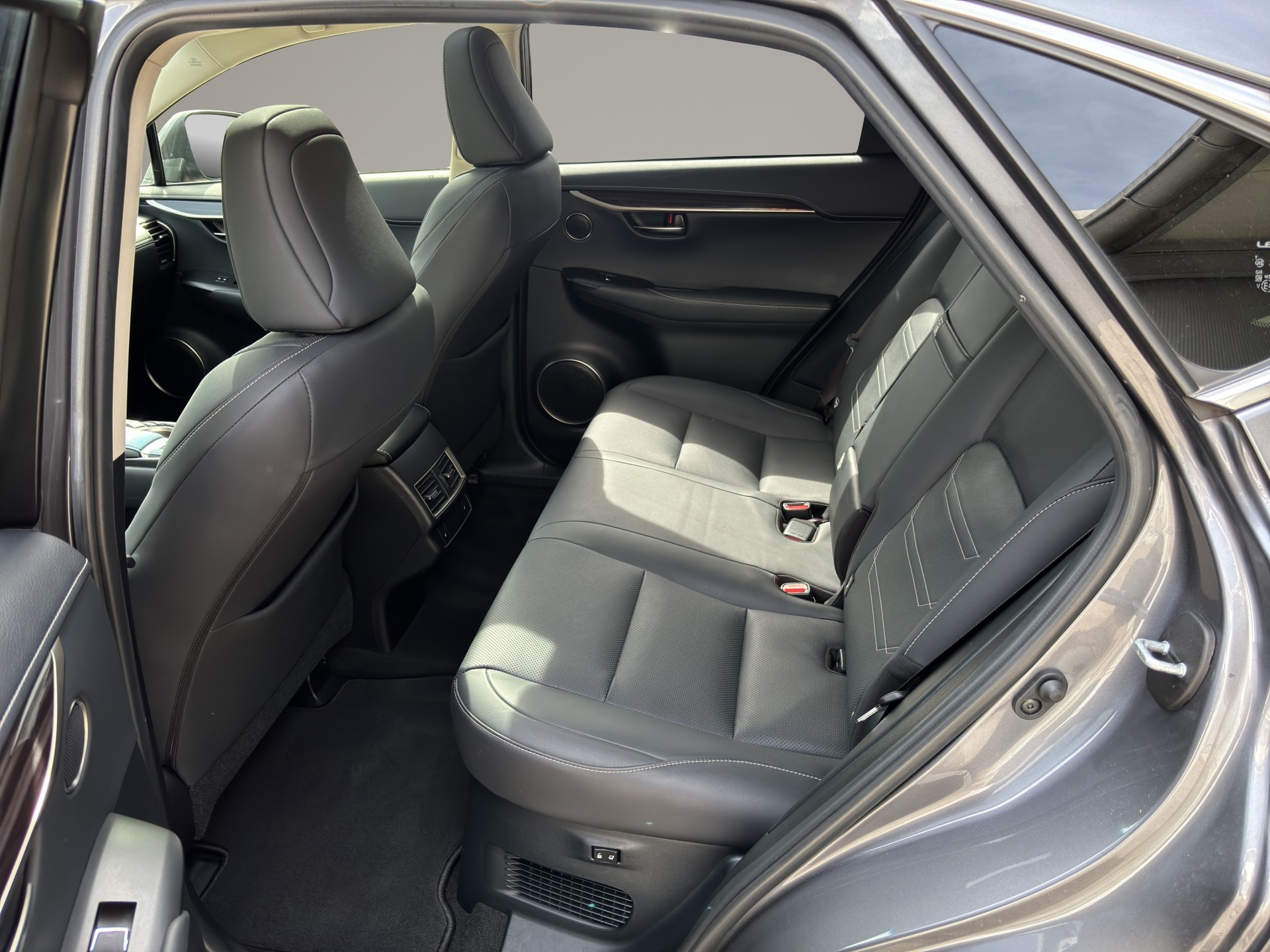 LEXUS NX 300h Excellence E-Four Automatic-image-10