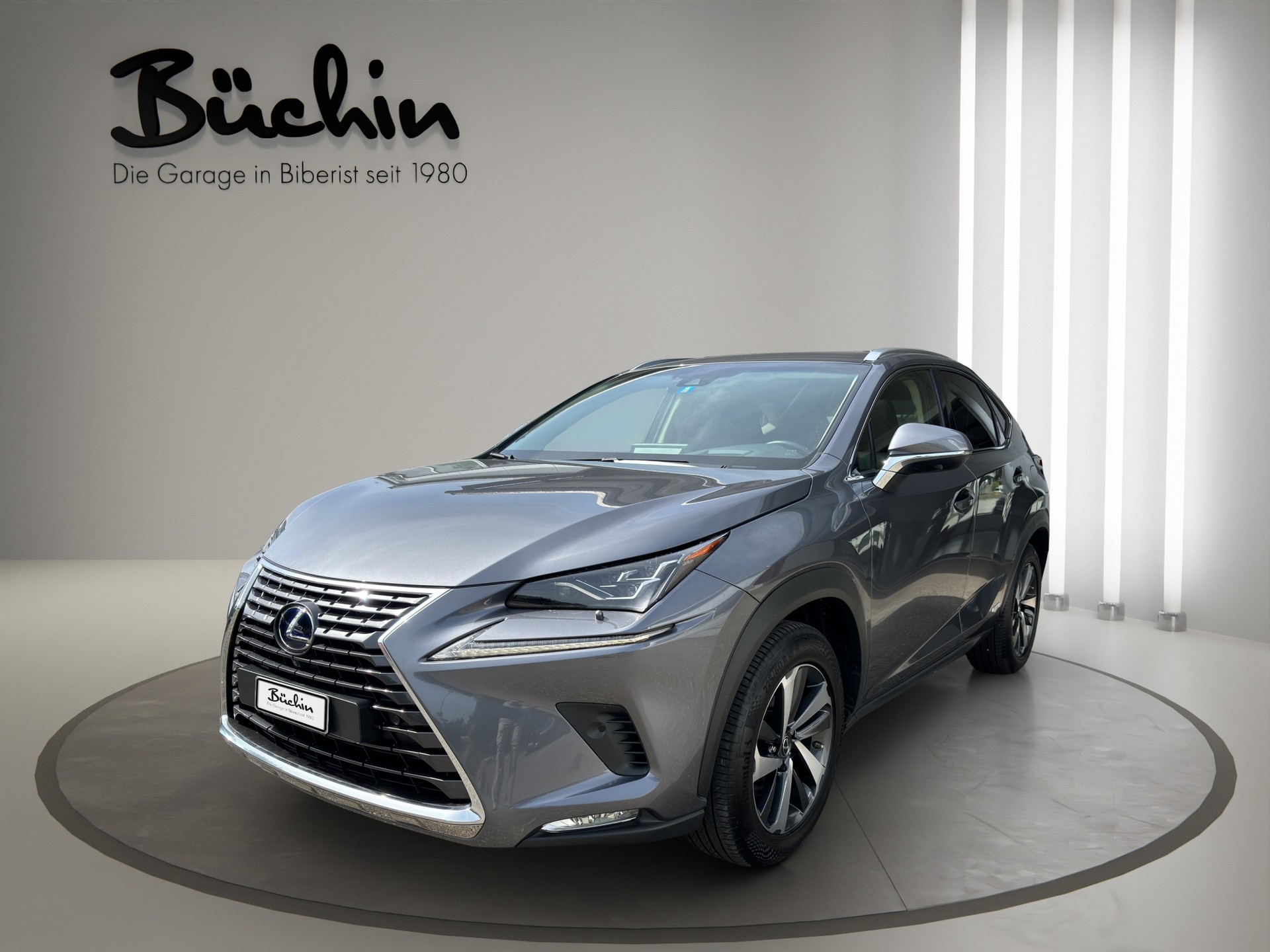 LEXUS NX 300h Excellence E-Four Automatic-showroom-element-2