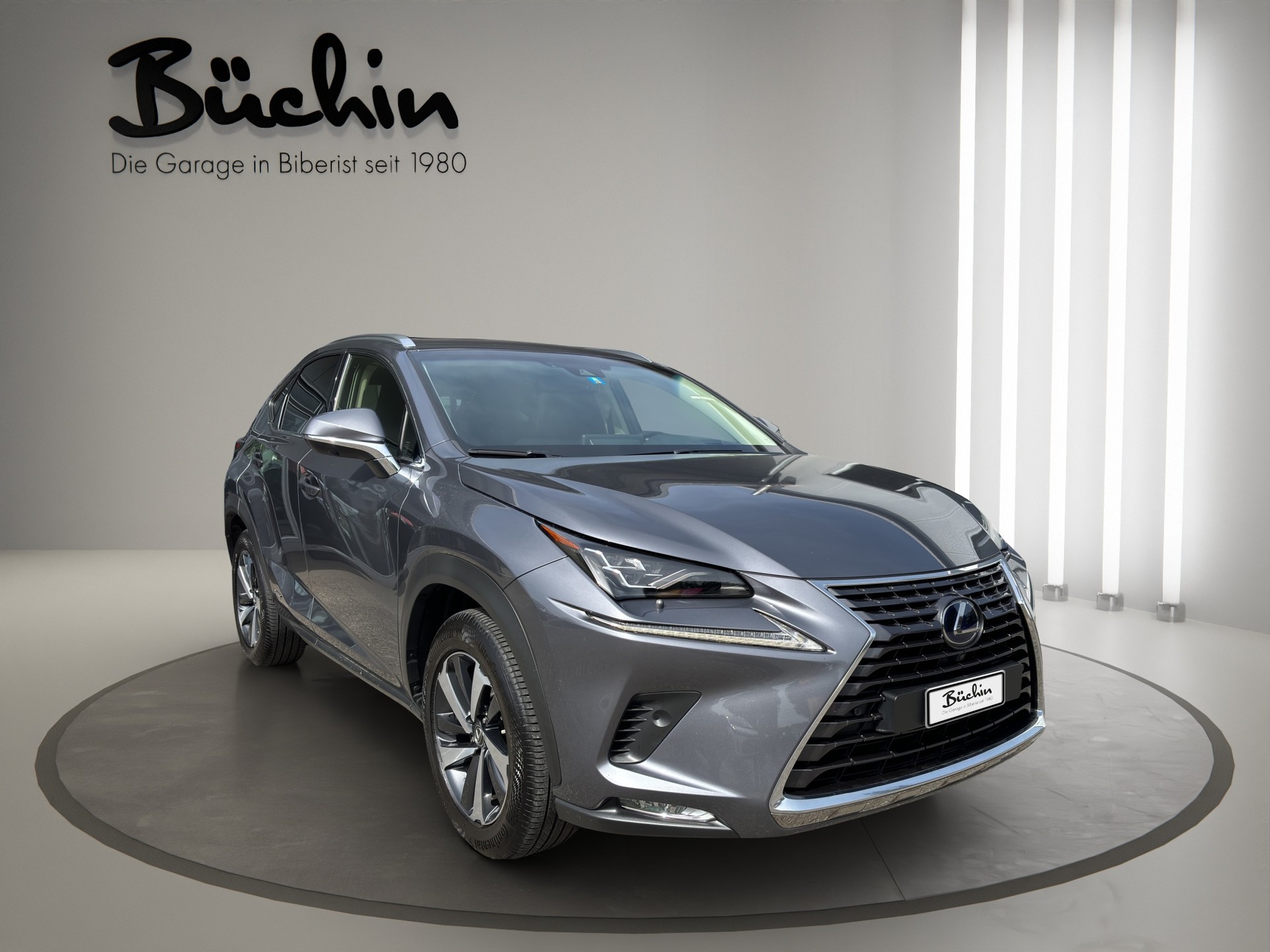 LEXUS NX 300h Excellence E-Four Automatic