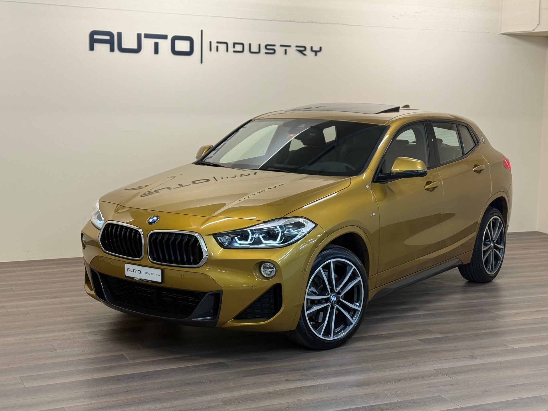 BMW X2 sDrive 20i M Sport Steptronic DSK