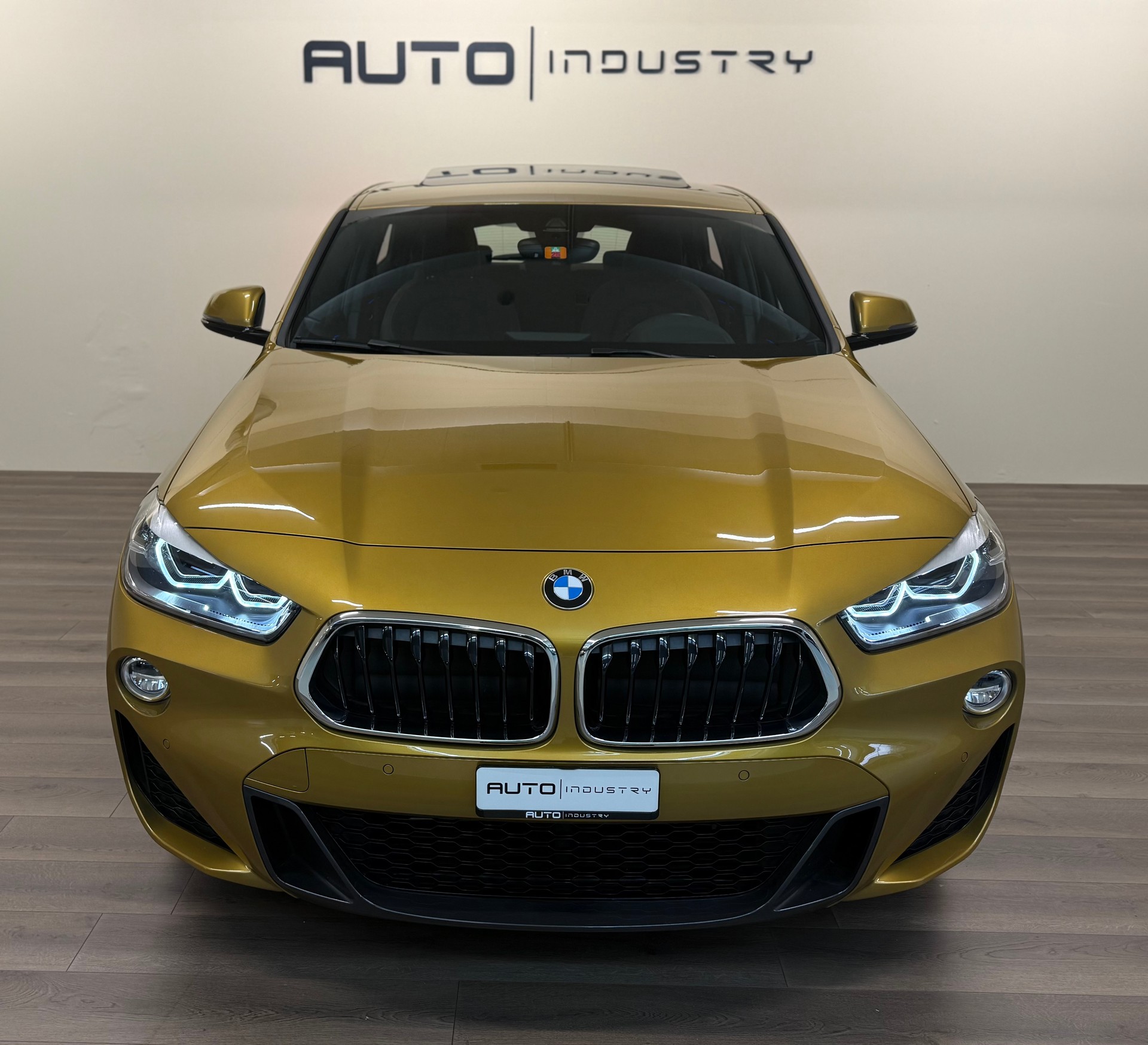 BMW X2 sDrive 20i M Sport Steptronic DSK-image-7