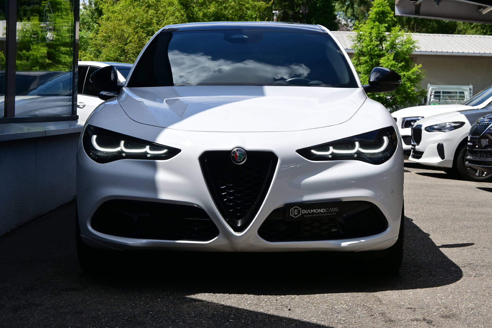ALFA ROMEO Stelvio 2.0 Q4 280 Tributo Italiano-showroom-element-1