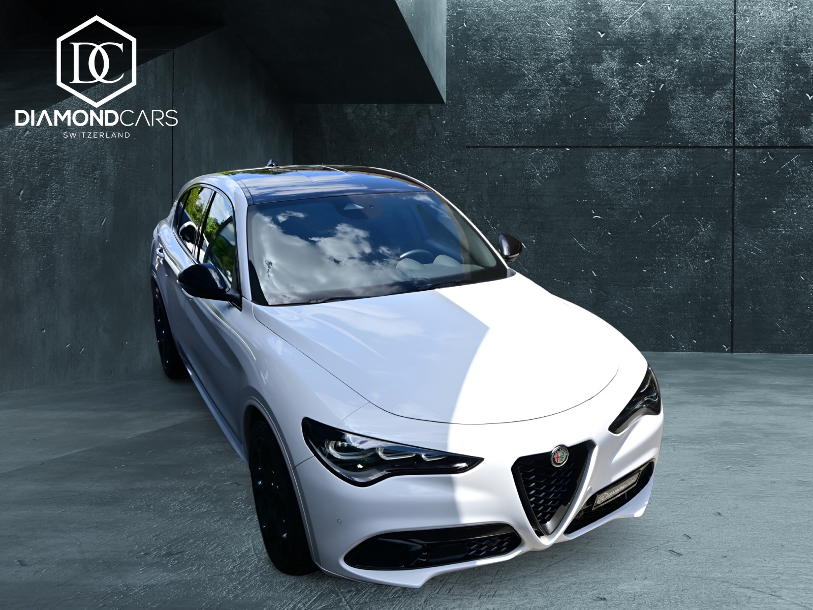 ALFA ROMEO Stelvio 2.0 Q4 280 Tributo Italiano-showroom-element-2