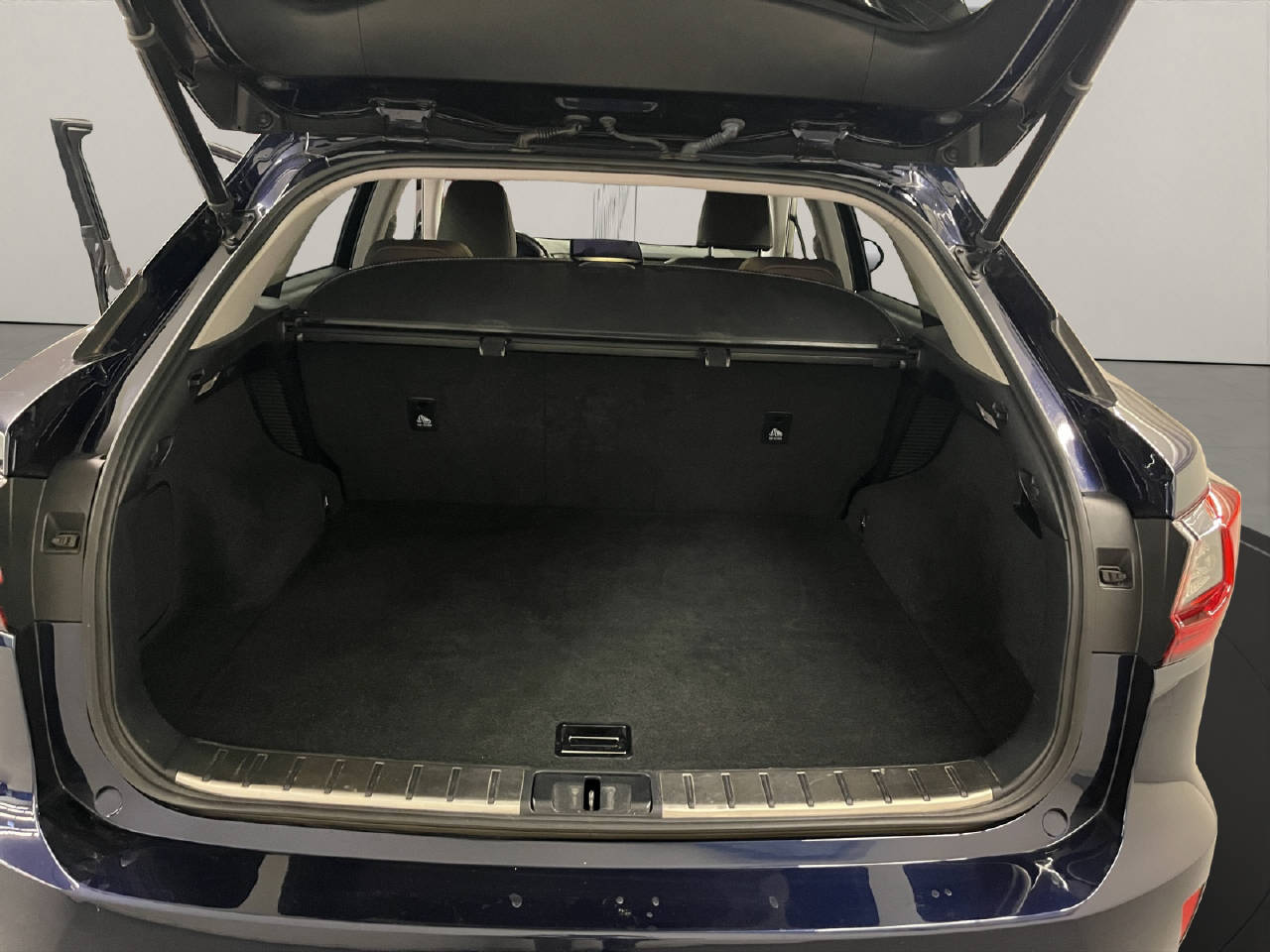 LEXUS RX 450h Comfort-image-14
