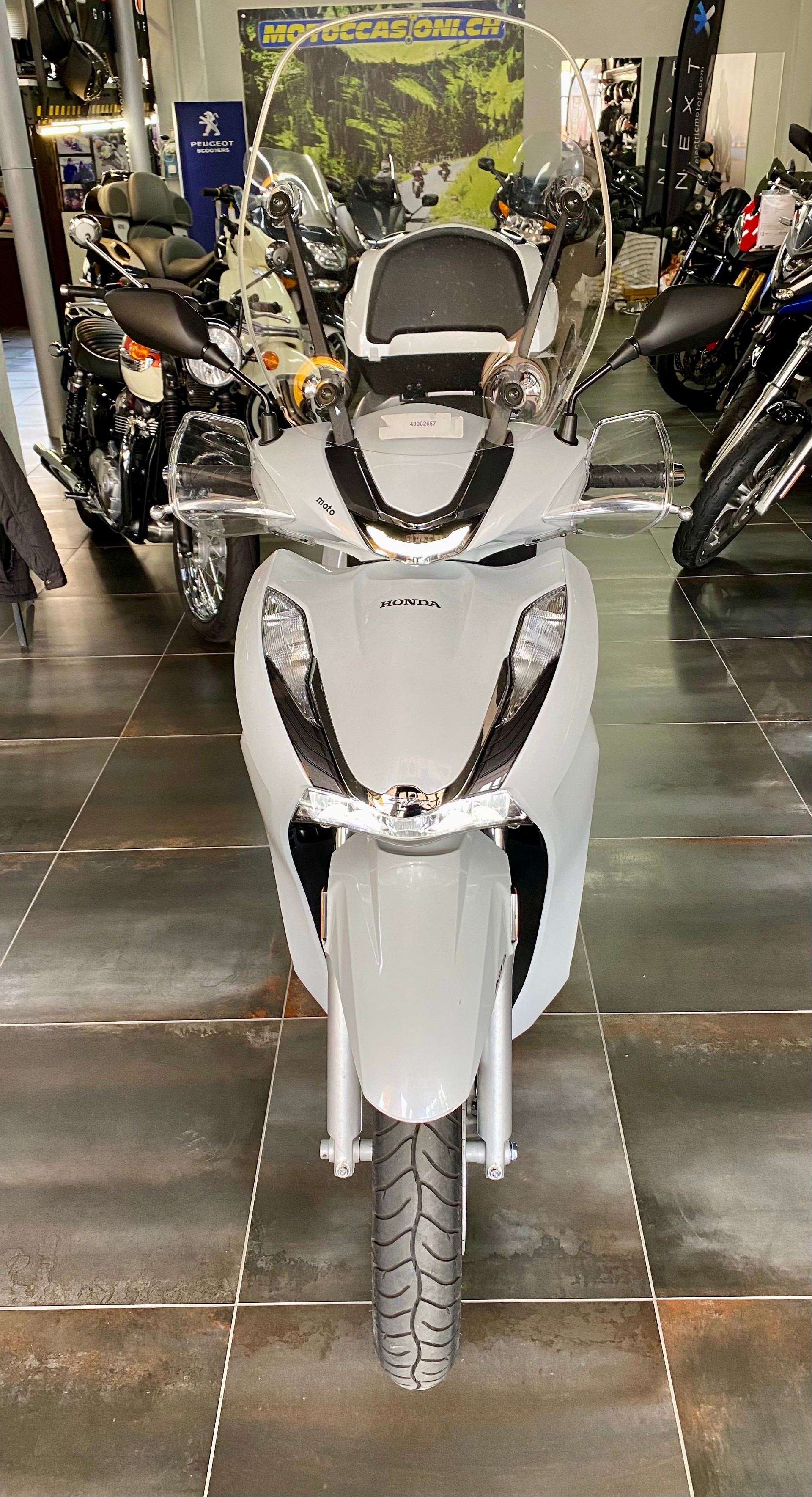 HONDA SH 350-image-1
