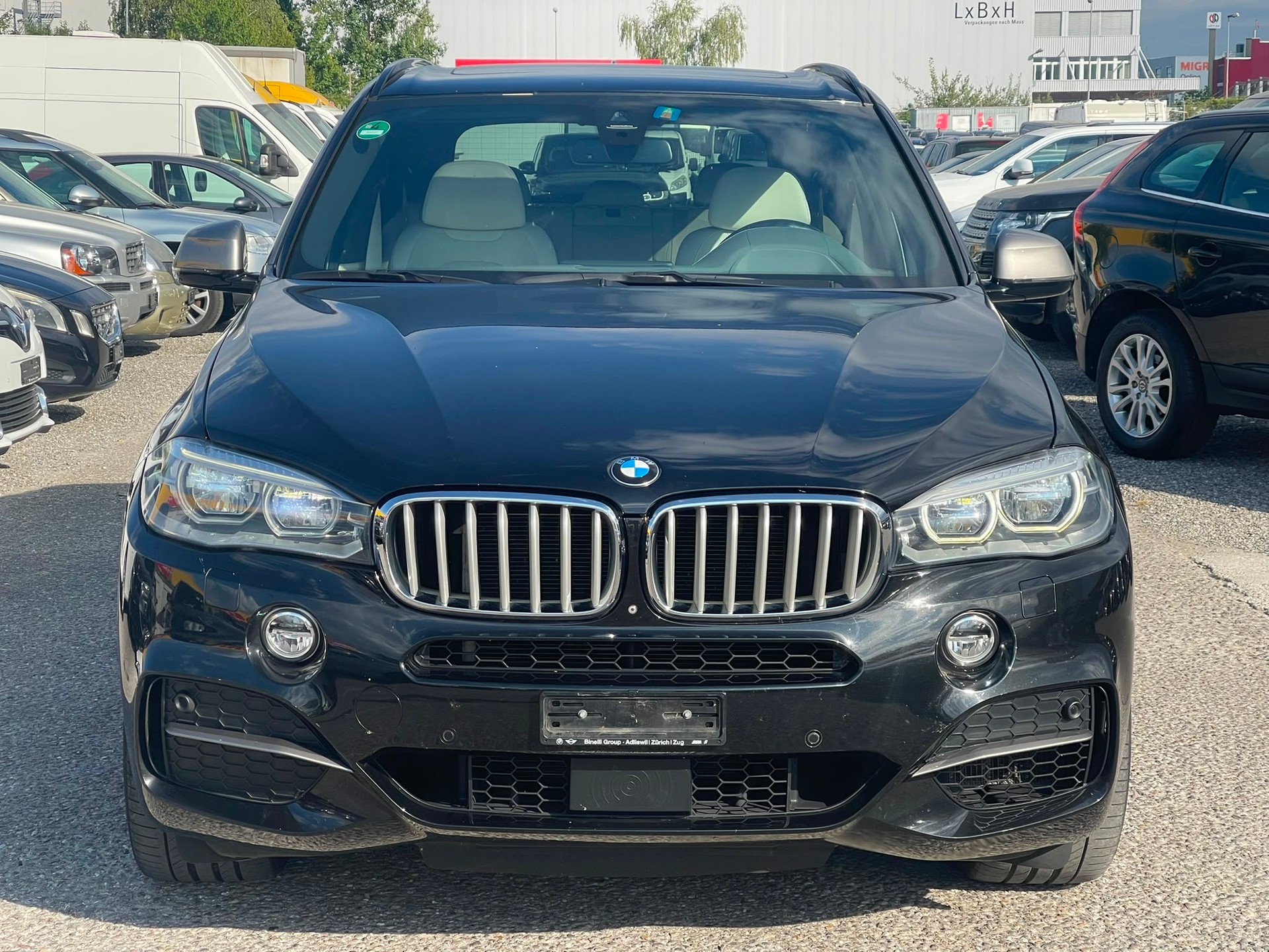 BMW X5 xDrive M50d Steptronic-showroom-element-1
