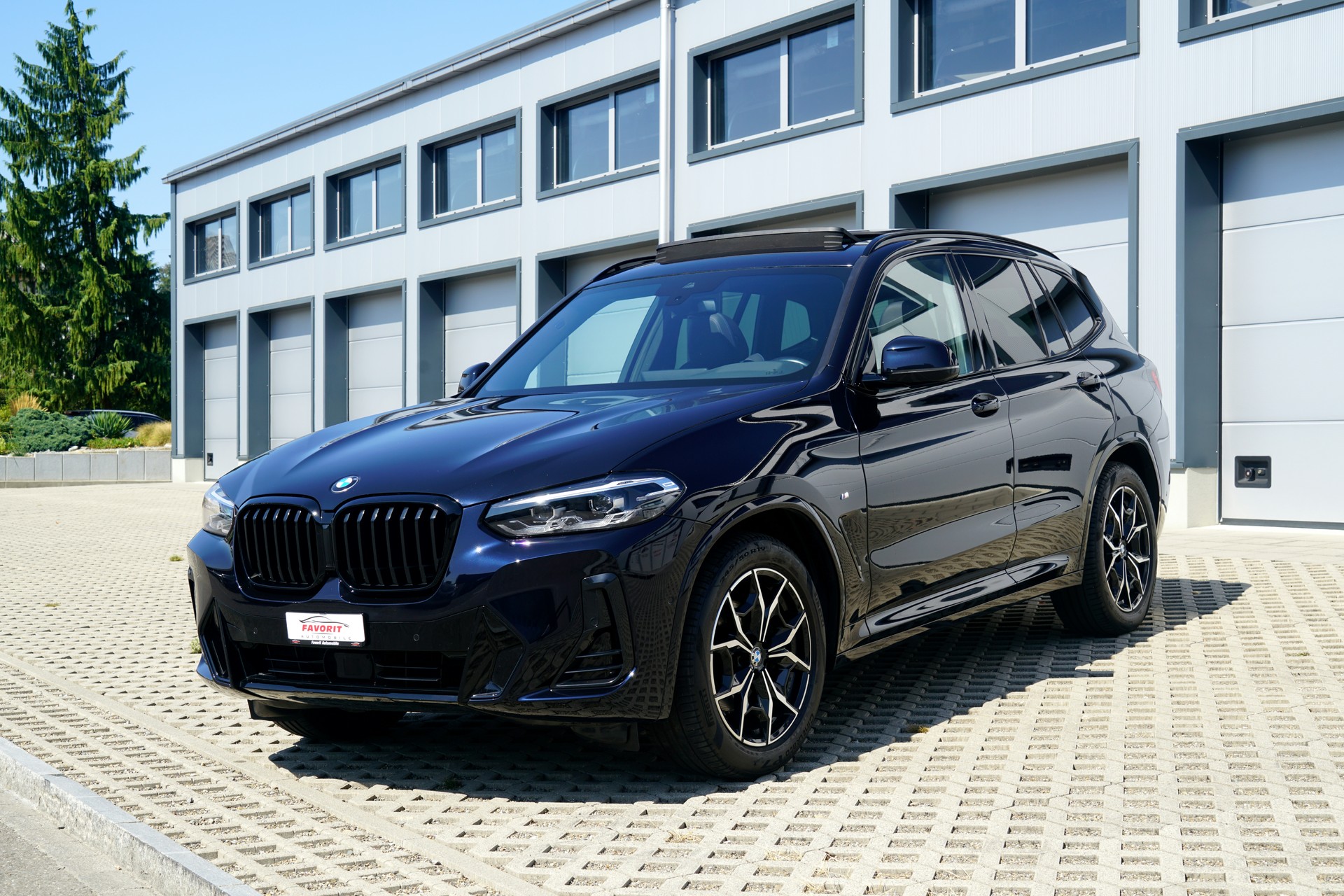 BMW X3 xDrive 48V 20d M Sport (CH)