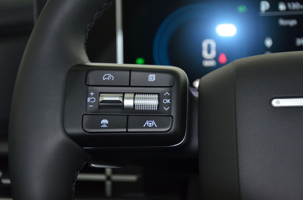 HYUNDAI New Santa Fe 1.6 Plug-in Hybrid 4WD Swiss-image-20