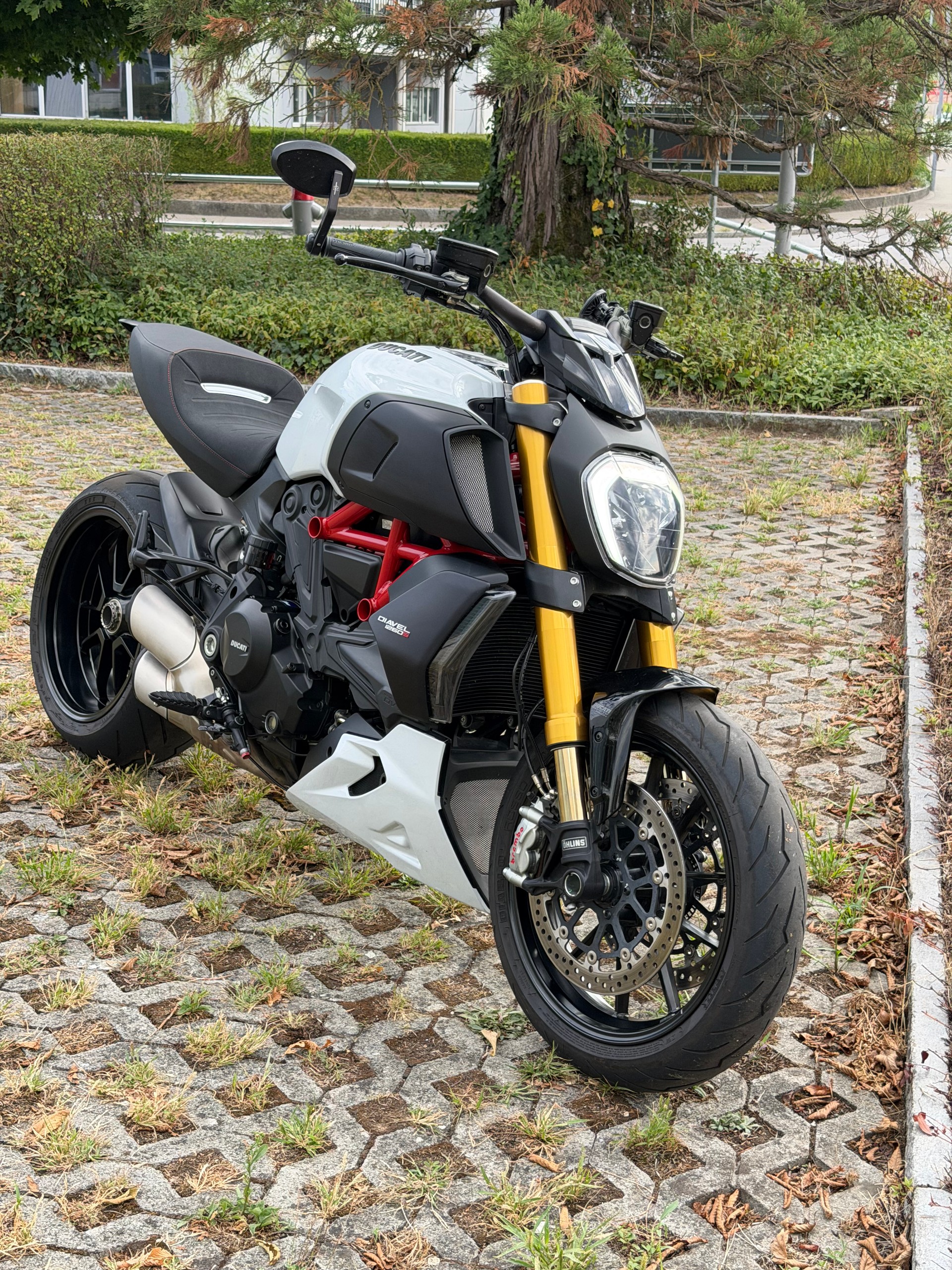 DUCATI Diavel 1260 S-image-5