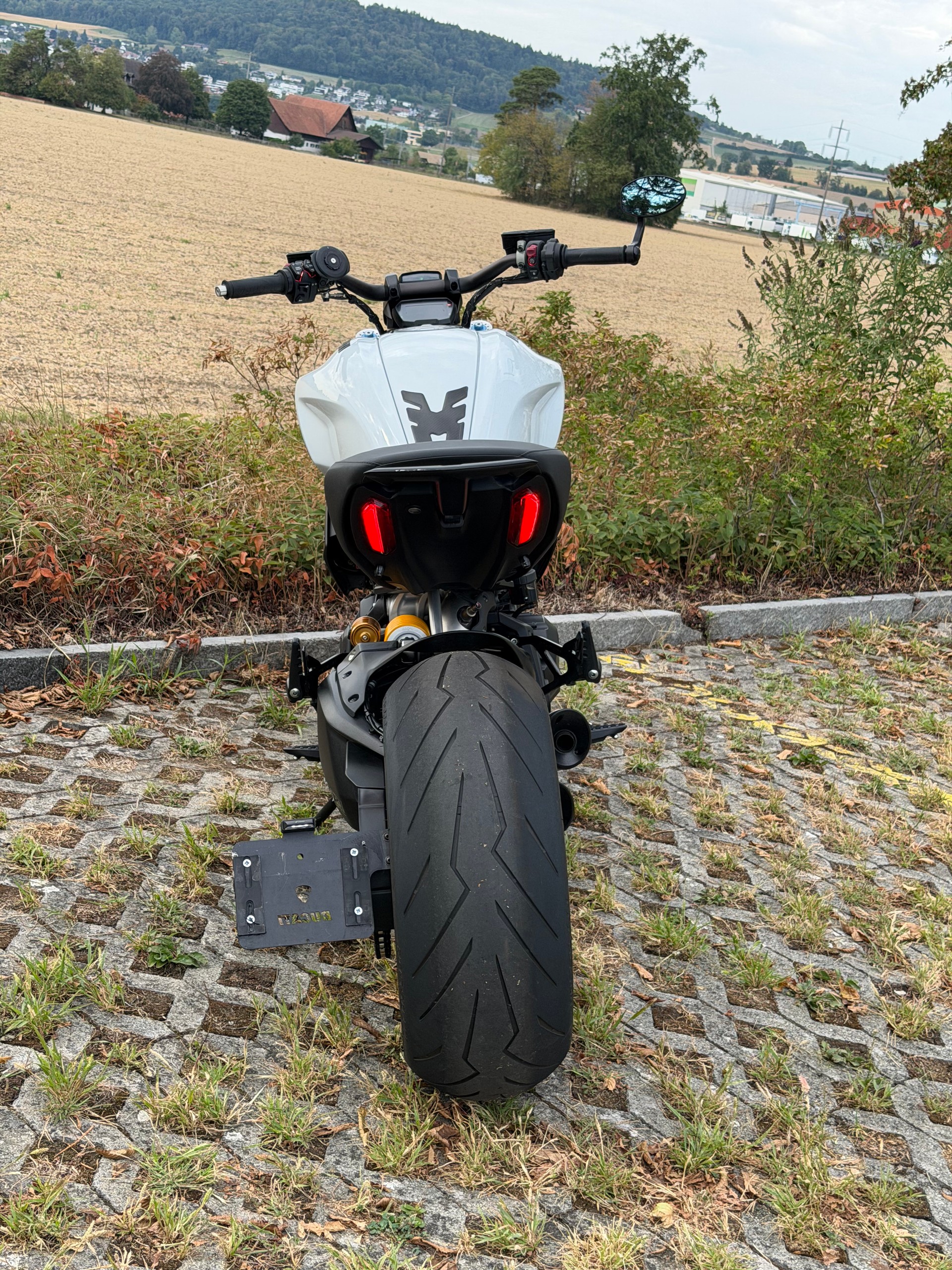 DUCATI Diavel 1260 S-image-3