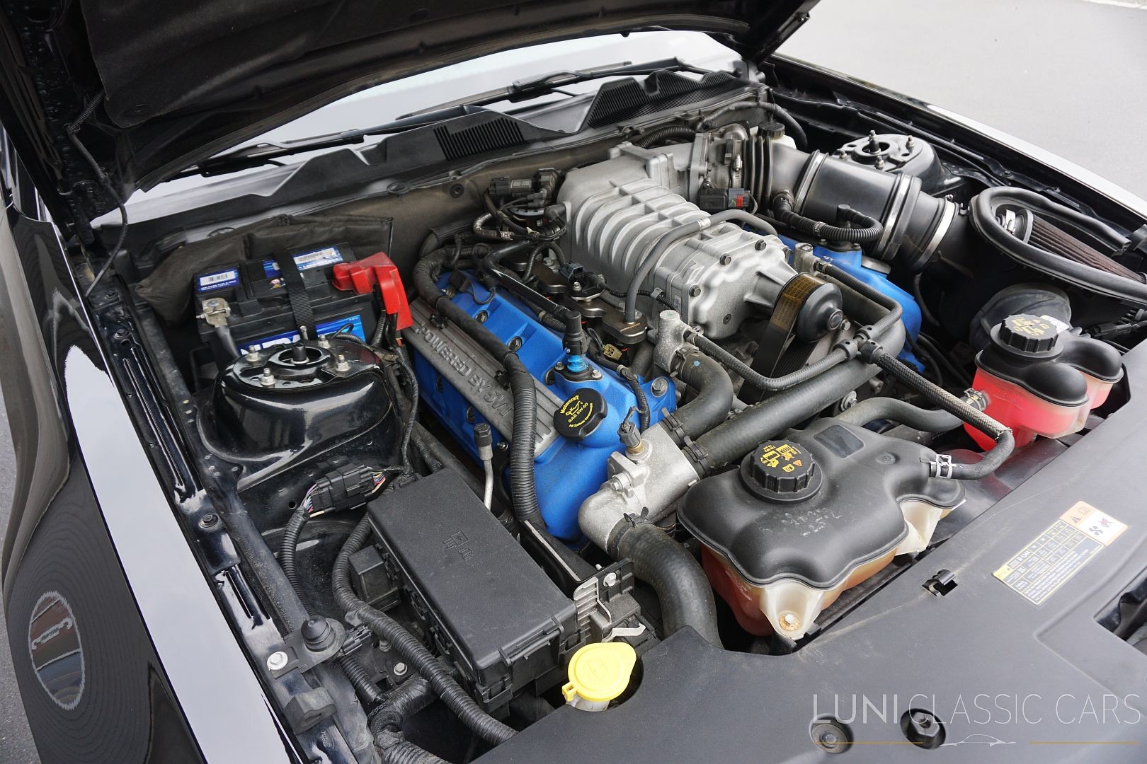 FORD Mustang Shelby GT500-image-24
