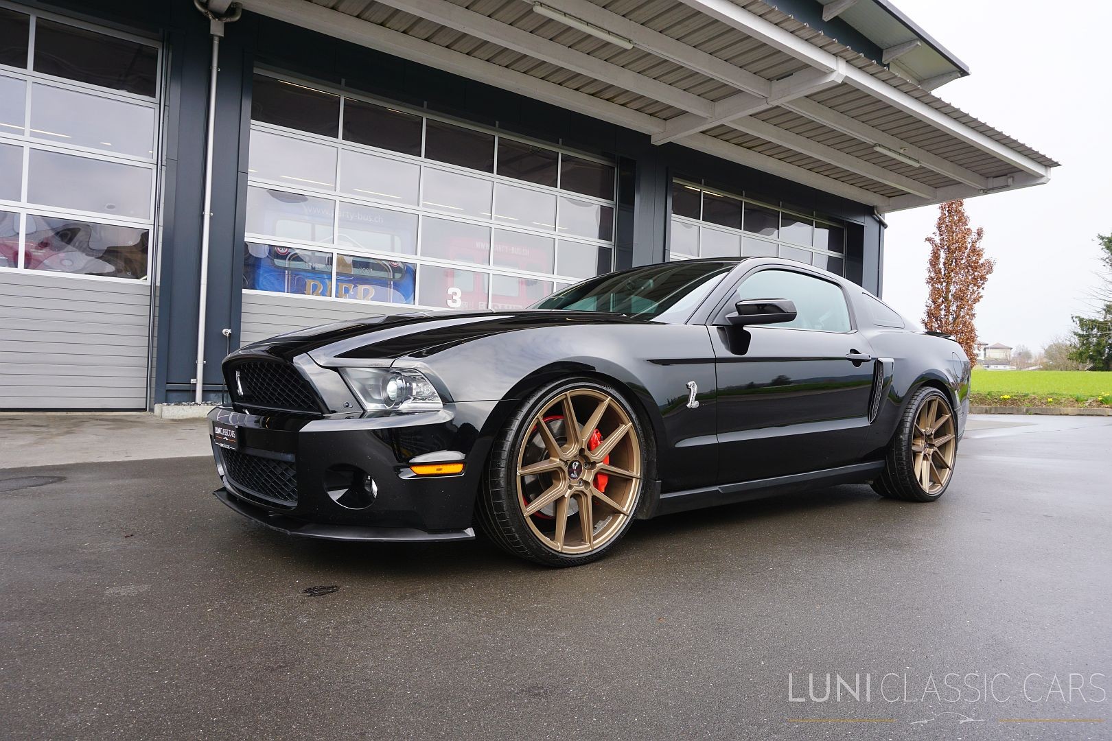 FORD Mustang Shelby GT500